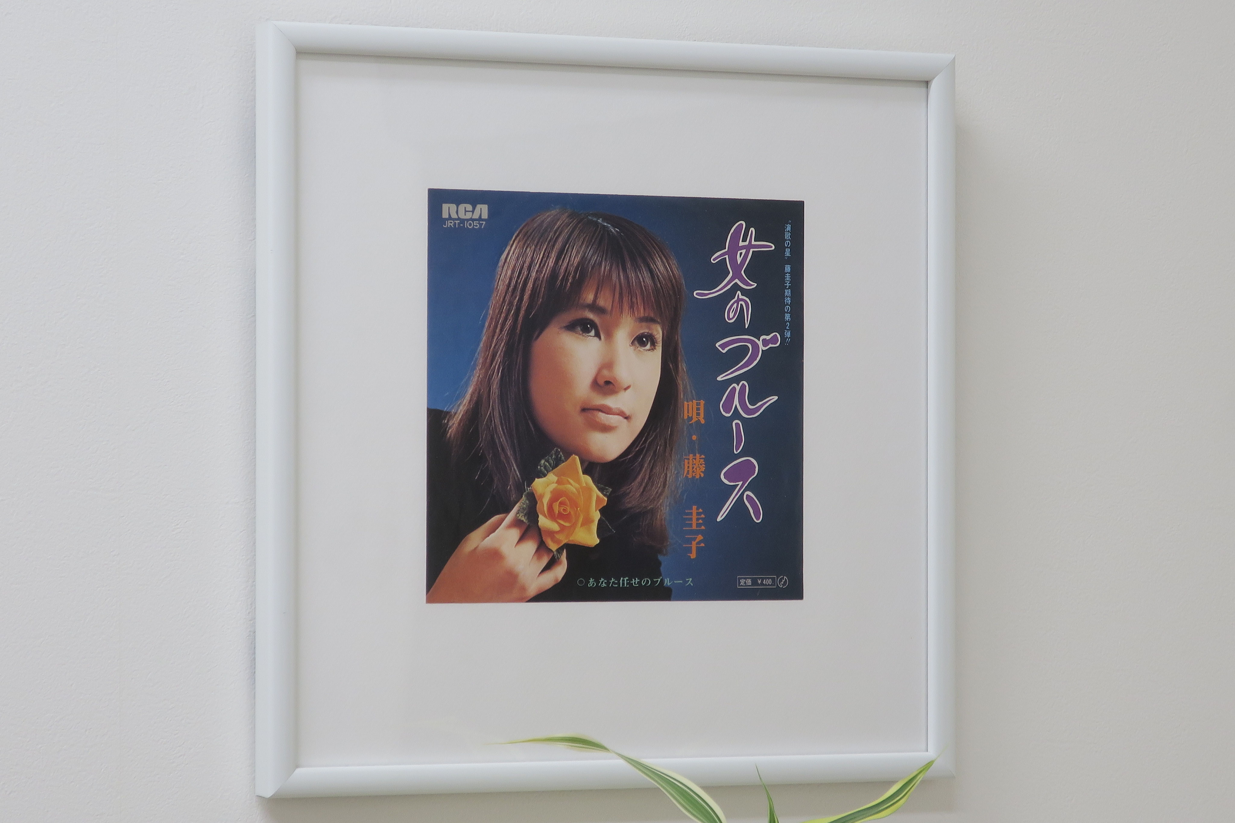 ★藤圭子さんの写真パネル 演歌が最先端だった頃 藤圭子 - まきの内科クリニック 川西能勢口 内科