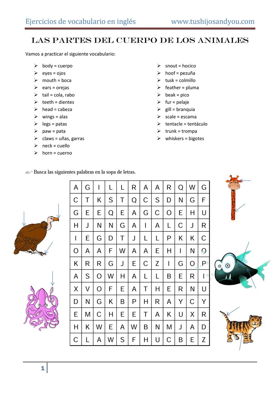 Ejercicios de inglés con vocabulario de animales I Tushijosandyou