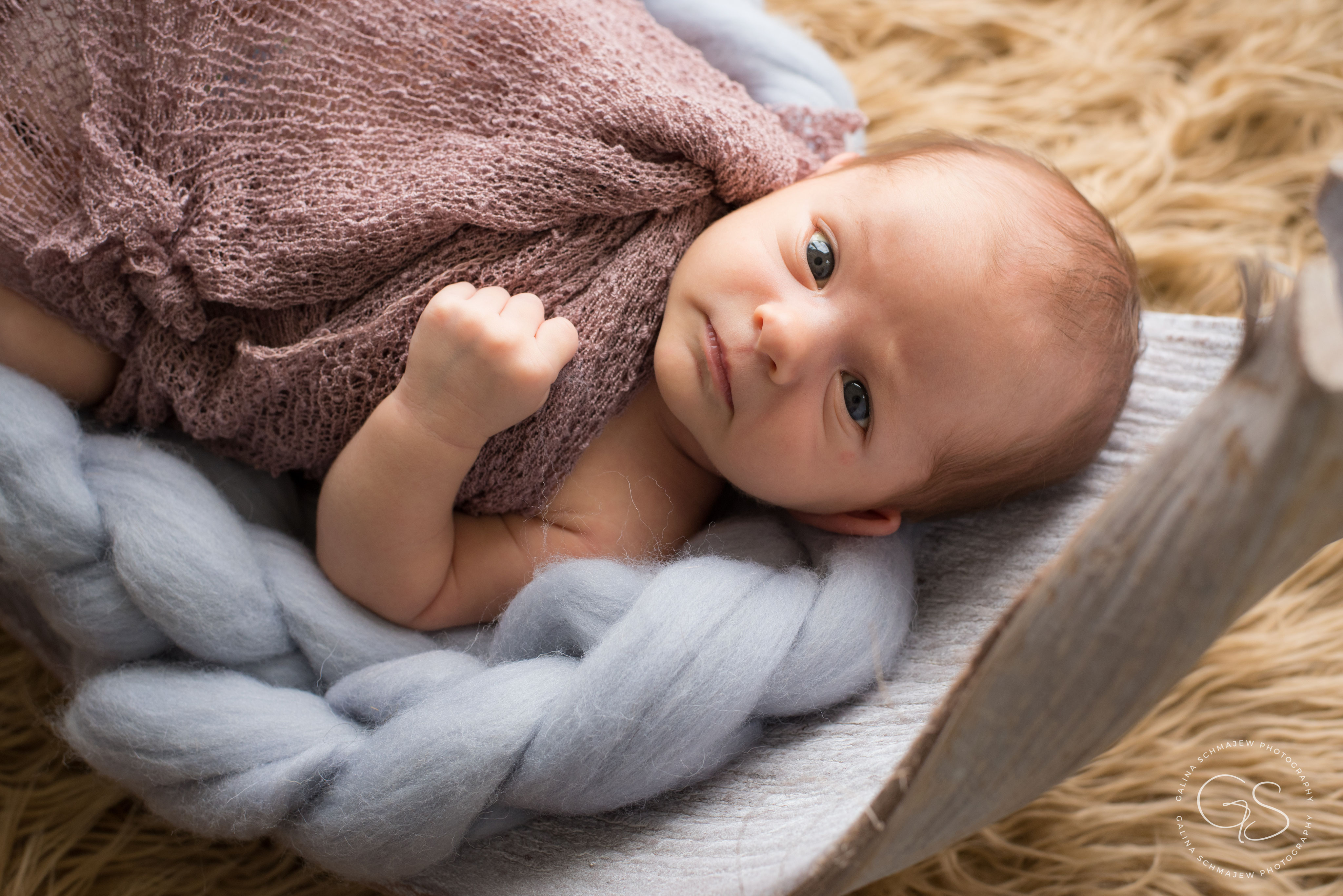 Preise Neugeborenenfotografie Und Babyfotografie Galina Schmajew