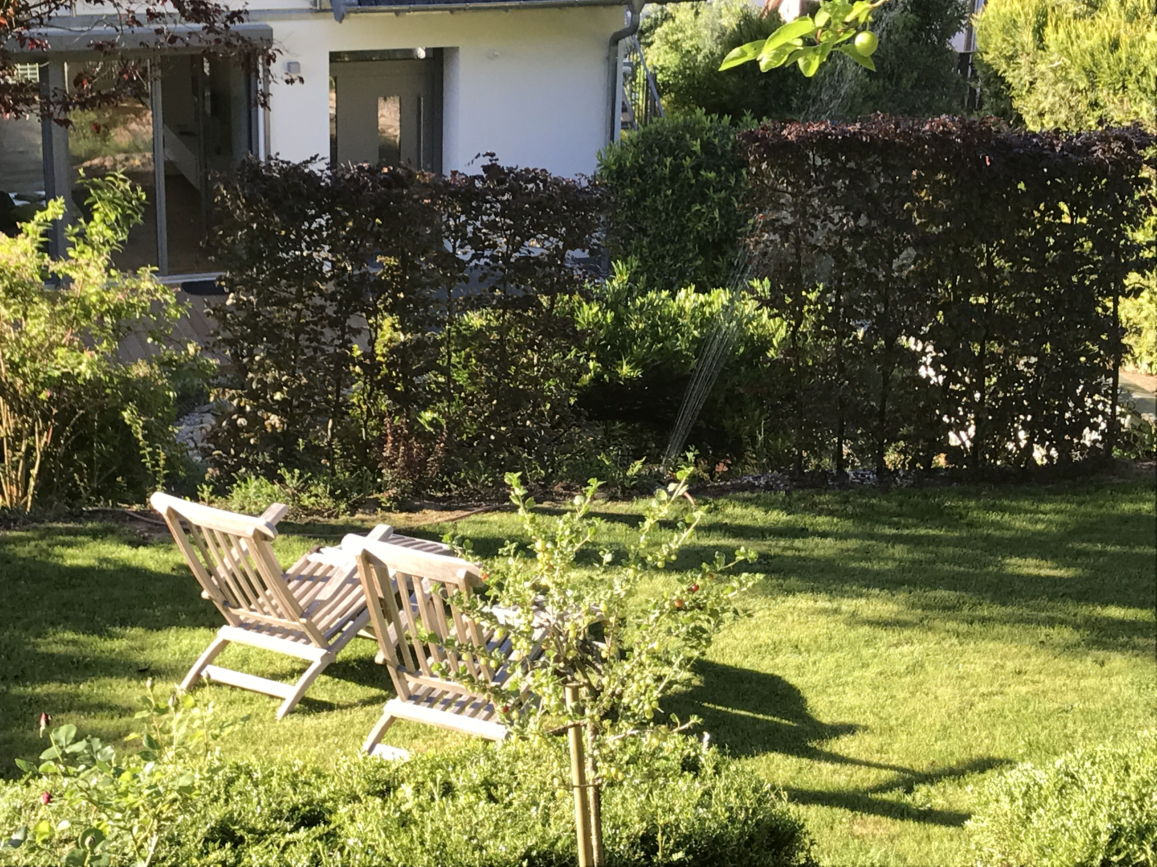 Der Garten Südpfalz Quartier 42 moderne, komfortable Ferienwohnung