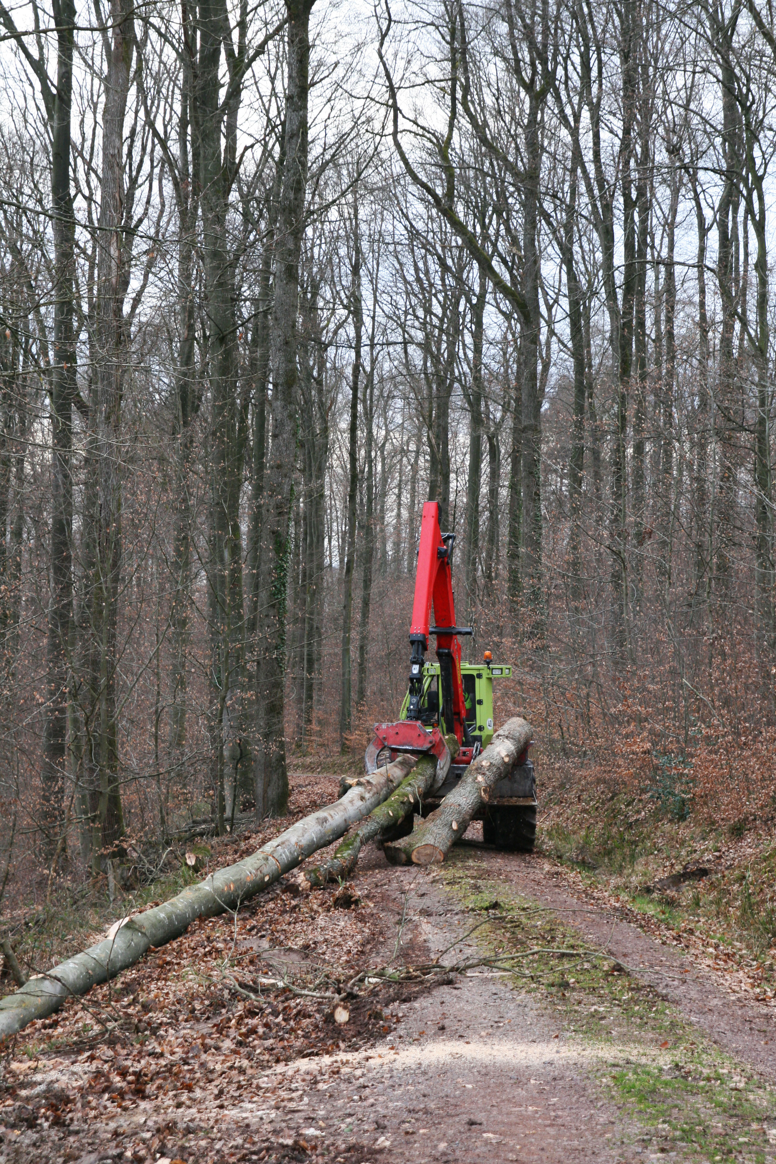 WF-Trac 1700 - Forstbetrieb Zehnle