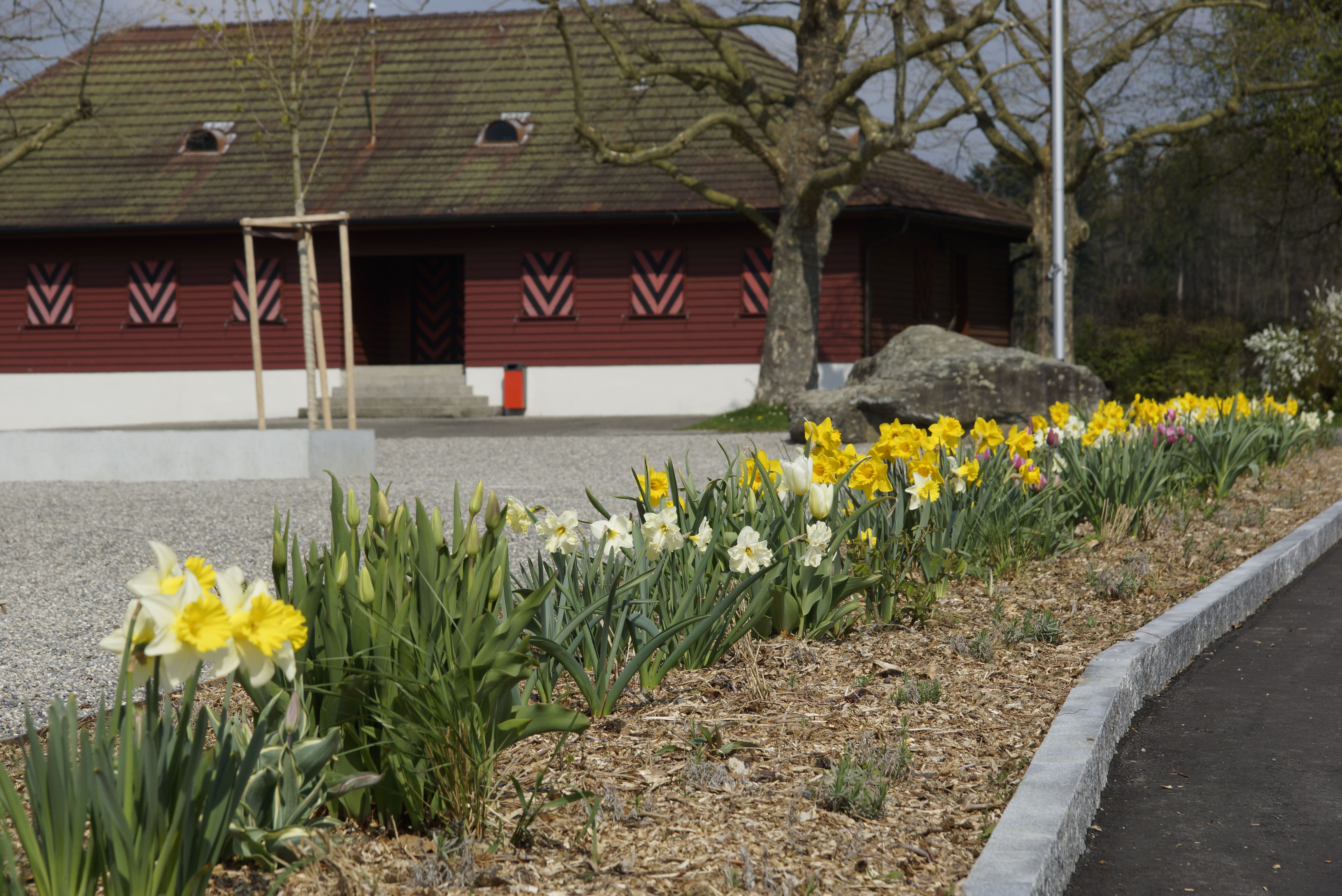 Gartenanlagen aus einer Hand Wild Gartenbau AG