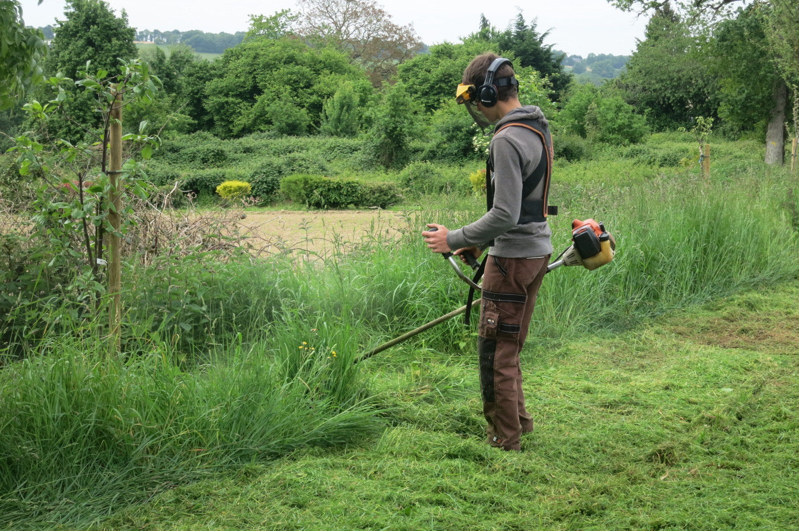 Georgeault Jardin Services entretien jardins de particuliers