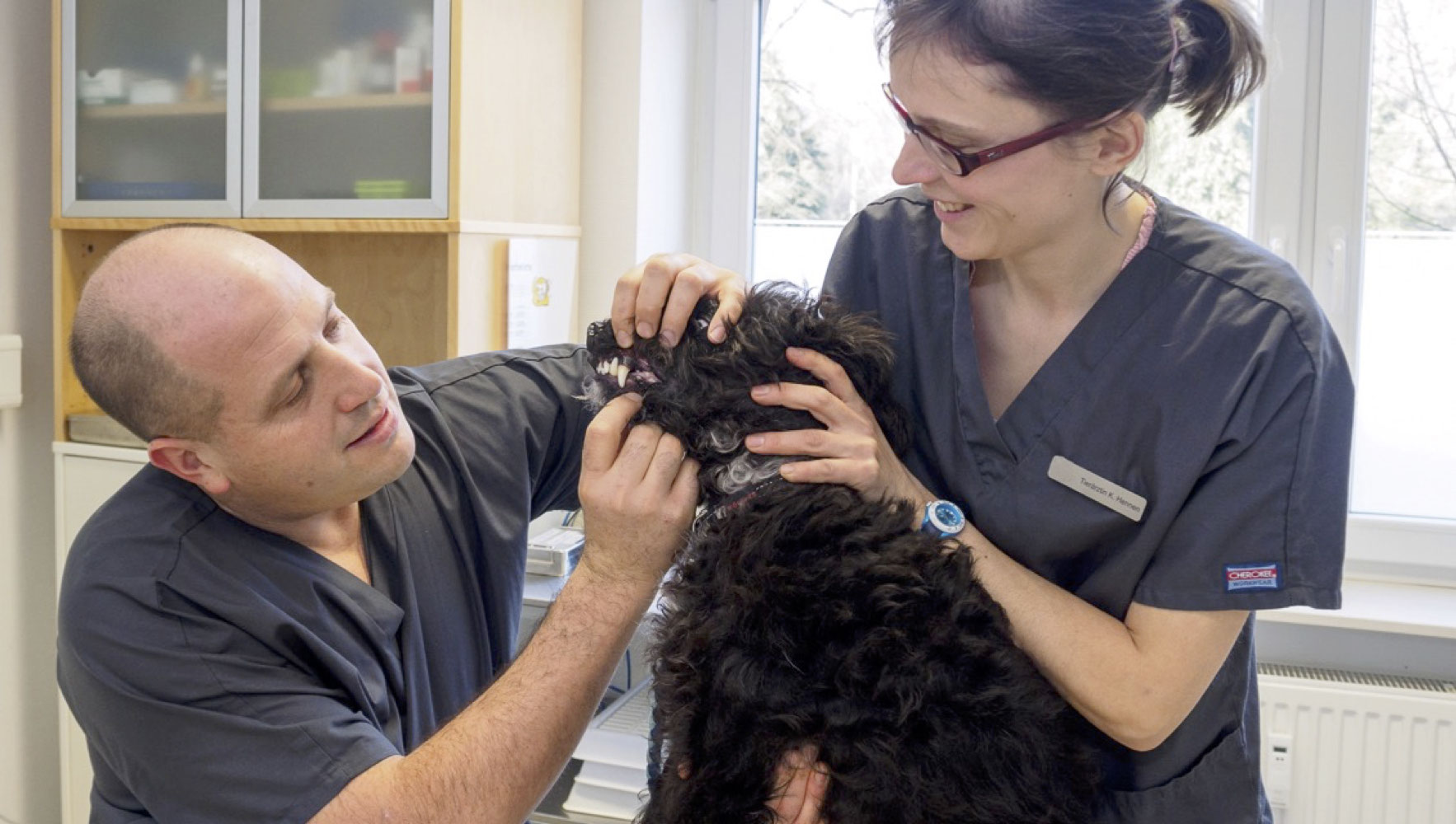 Unsere Erfahrung WolfsConcept für den Wolf in Ihrem Hund