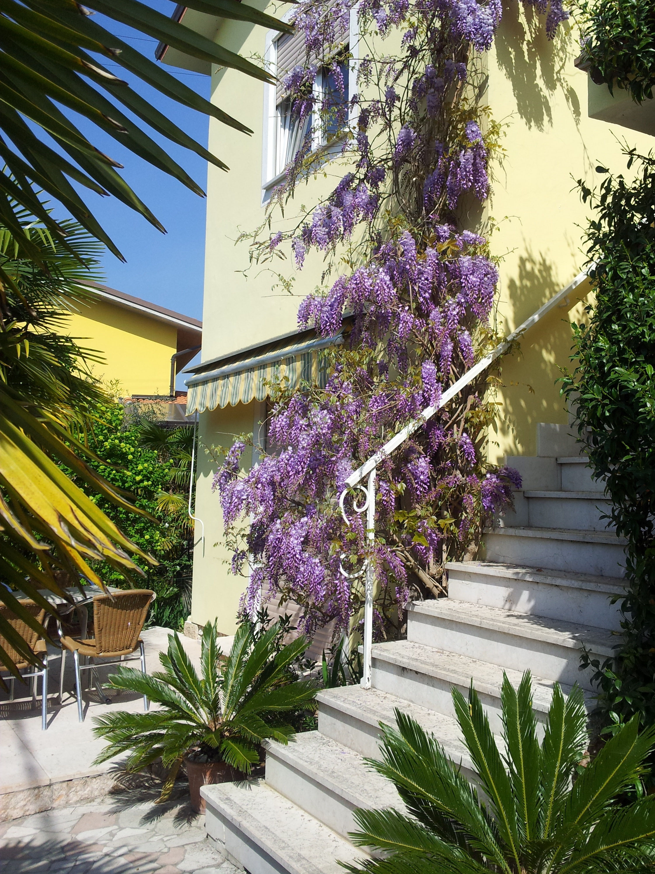 Appartement B Residence la Croce lazisetests seite!