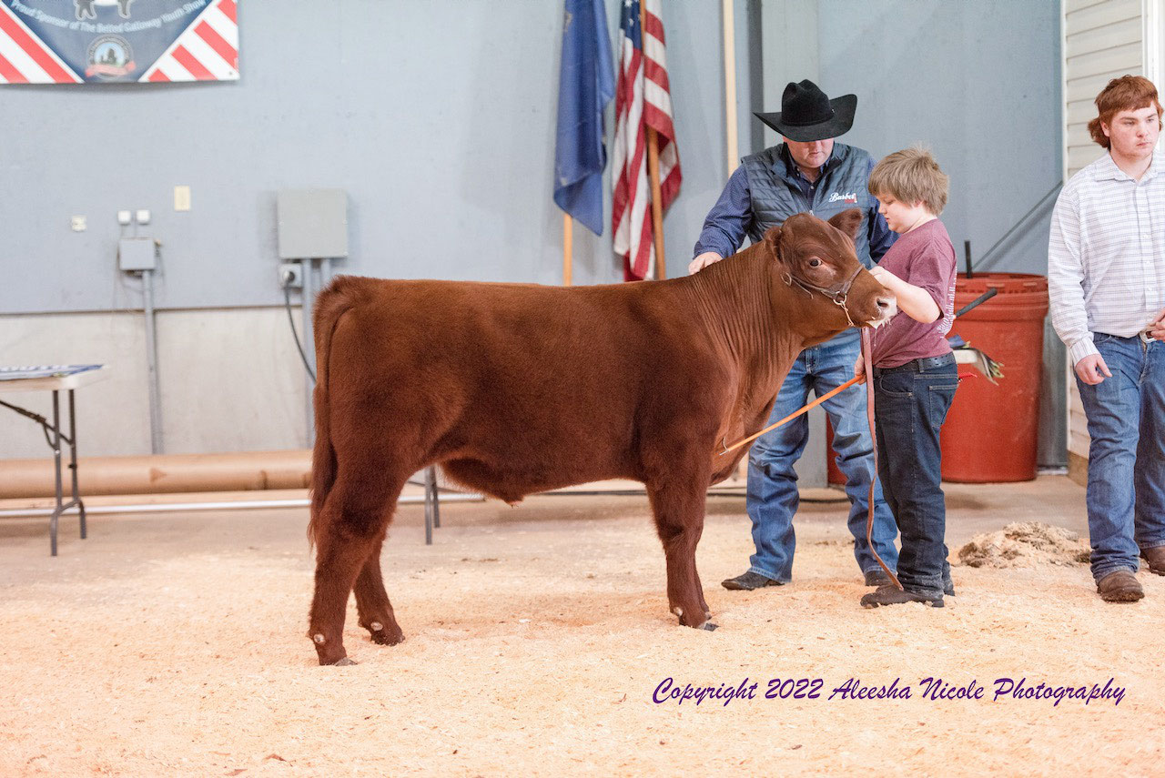 Home Fryeburg Youth Show