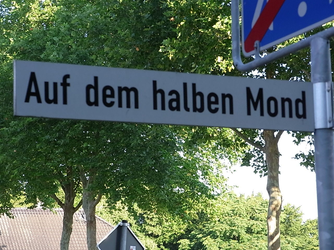 Lustige Bilderseite 894 Wild Und Hund