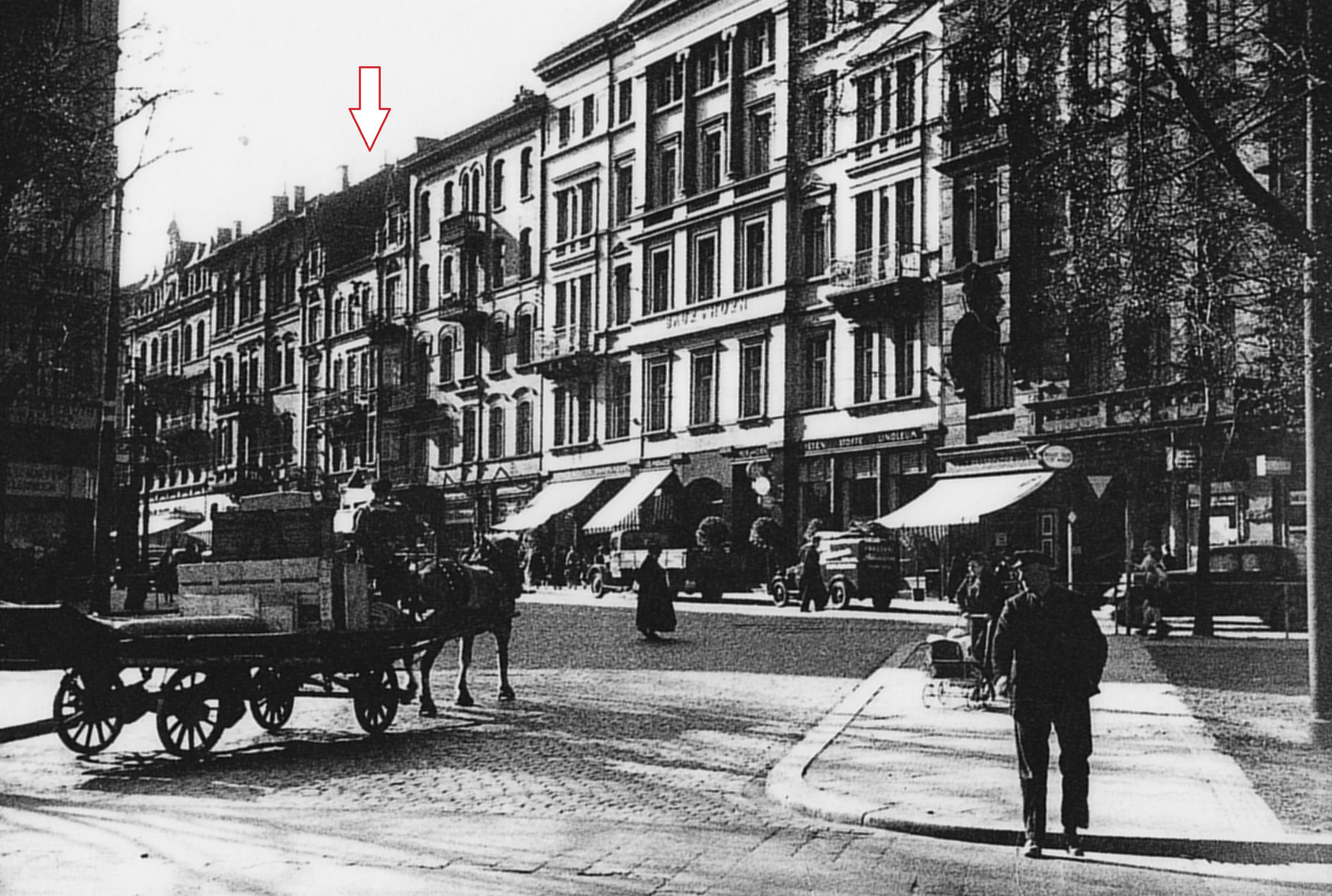 shirali yaqin tortishish tort oyoqli ayollar yalangoch eshak