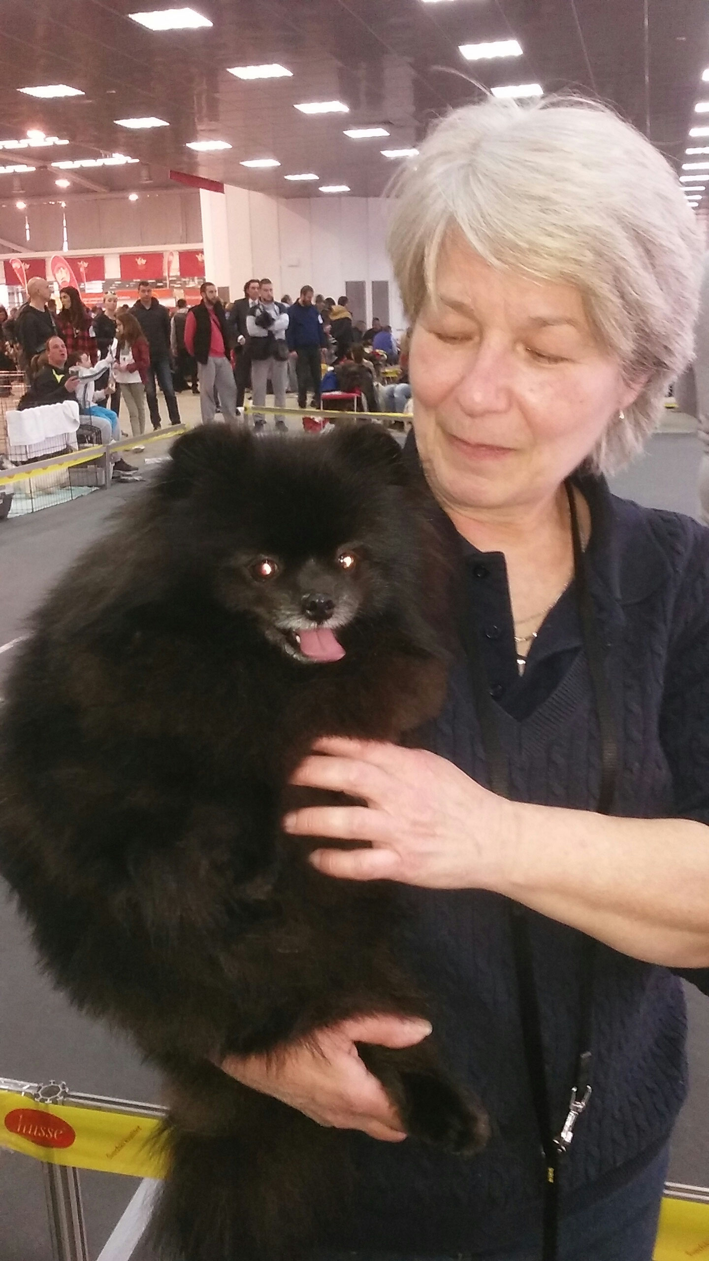 Pomeranian Puppy With A Huge Stuffed Toy In The Shape Of A Heart On A White  Background. Baby Animal Theme Stock Photo, Picture and Royalty Free Image.  Image 193386227., image size:1440x2560