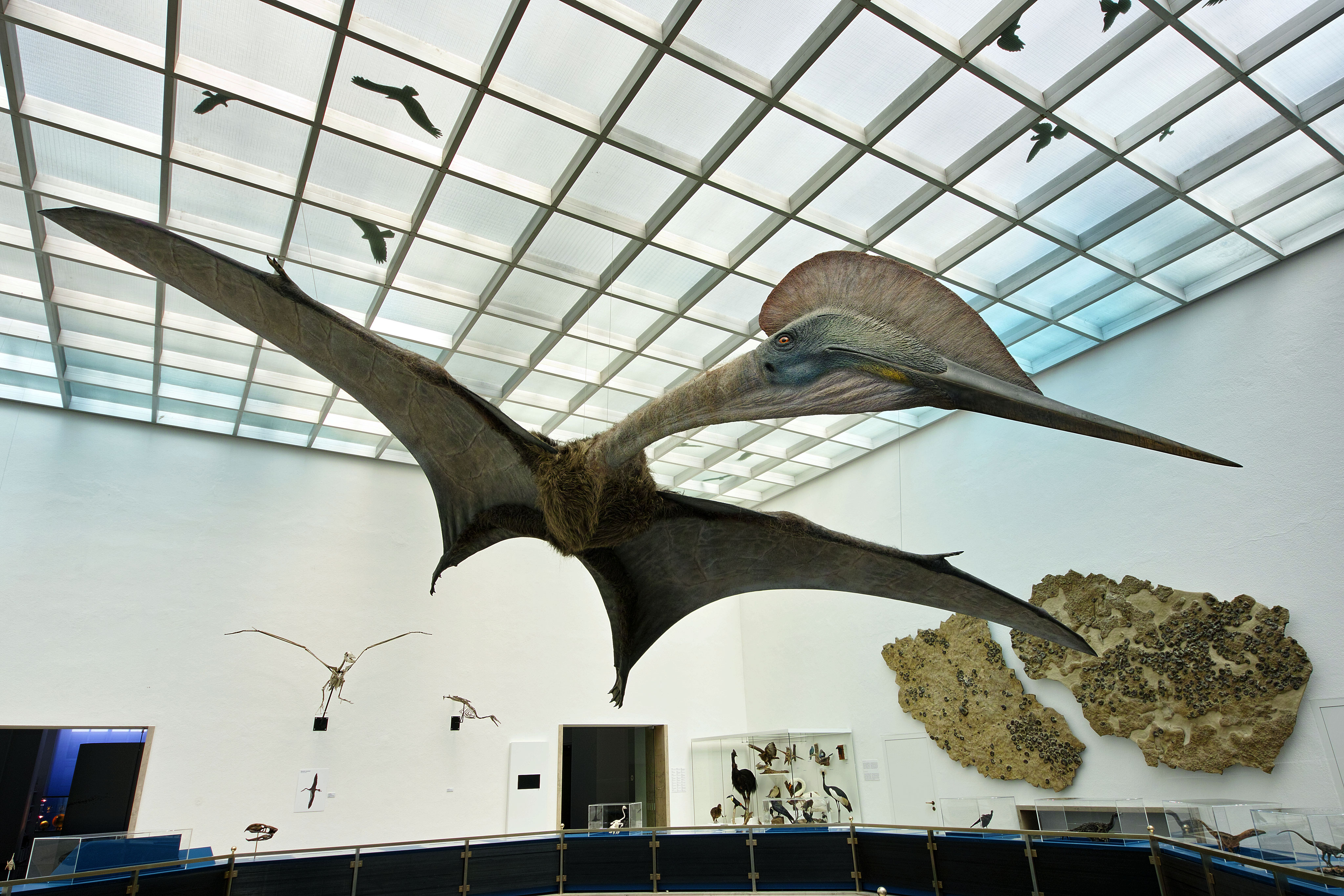 Staatliches Museum für Naturkunde Karlsruhe - MyKidds.com