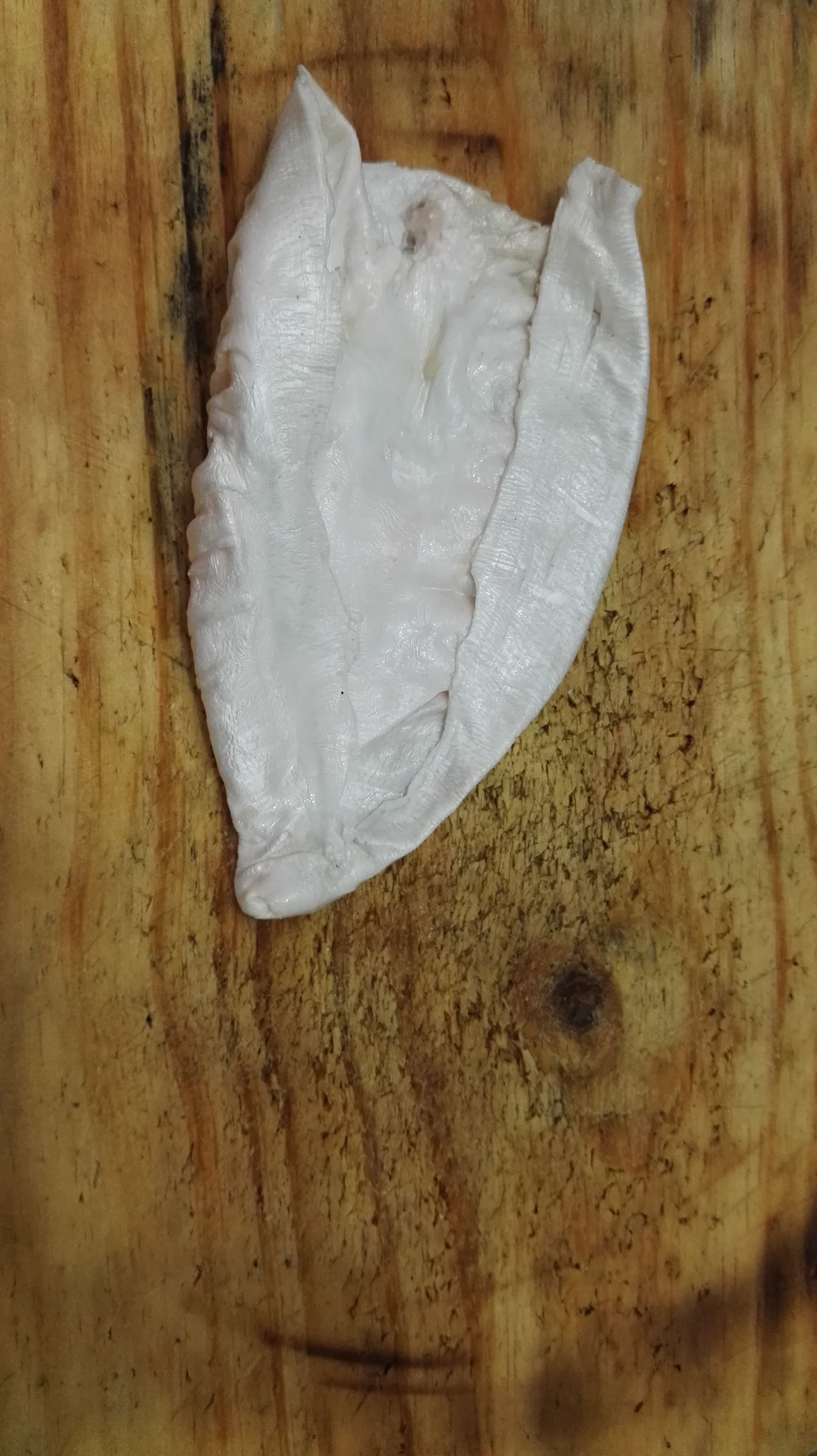 FISH BLADDER Special products of amanazonas, Dry and frozen amazon