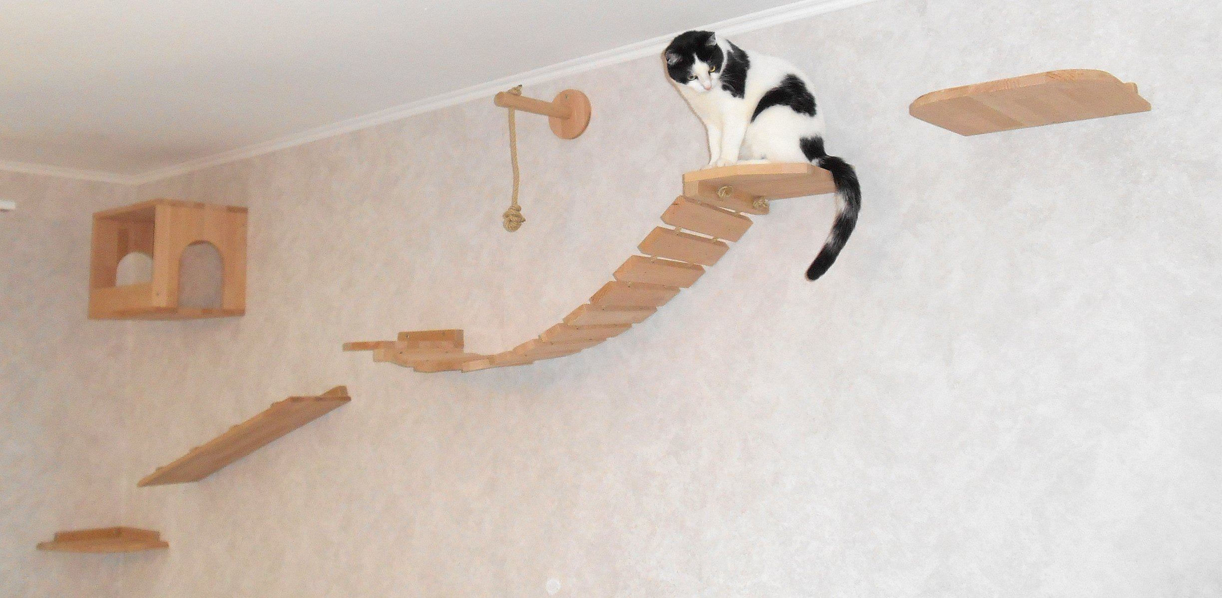 Medikratz Katzen Kletterwand Set Mit Hängebrücke - Natur Holz Wandpark Für Große Katzen