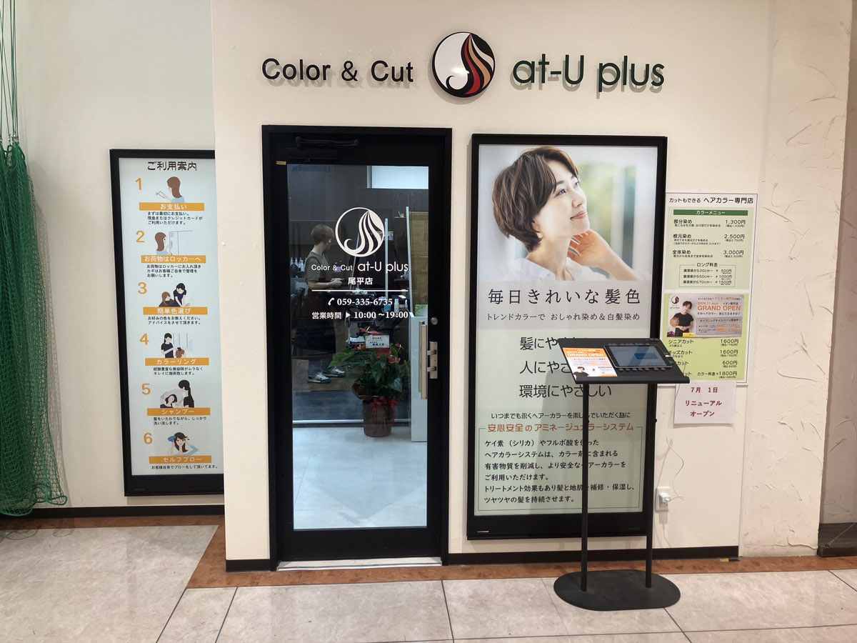 ナチュラルハーブカラー、ヘナ、白髪染め、カラーリング剤 │東京