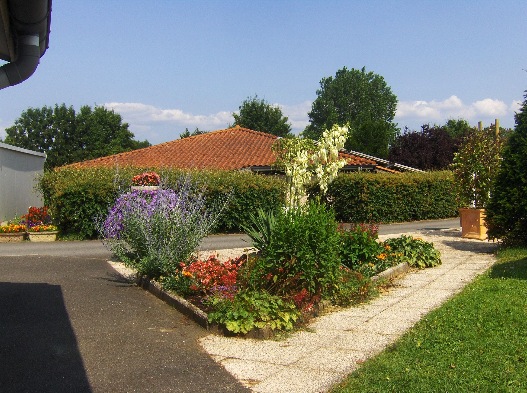 Camping de la Route Bleue — photo 5