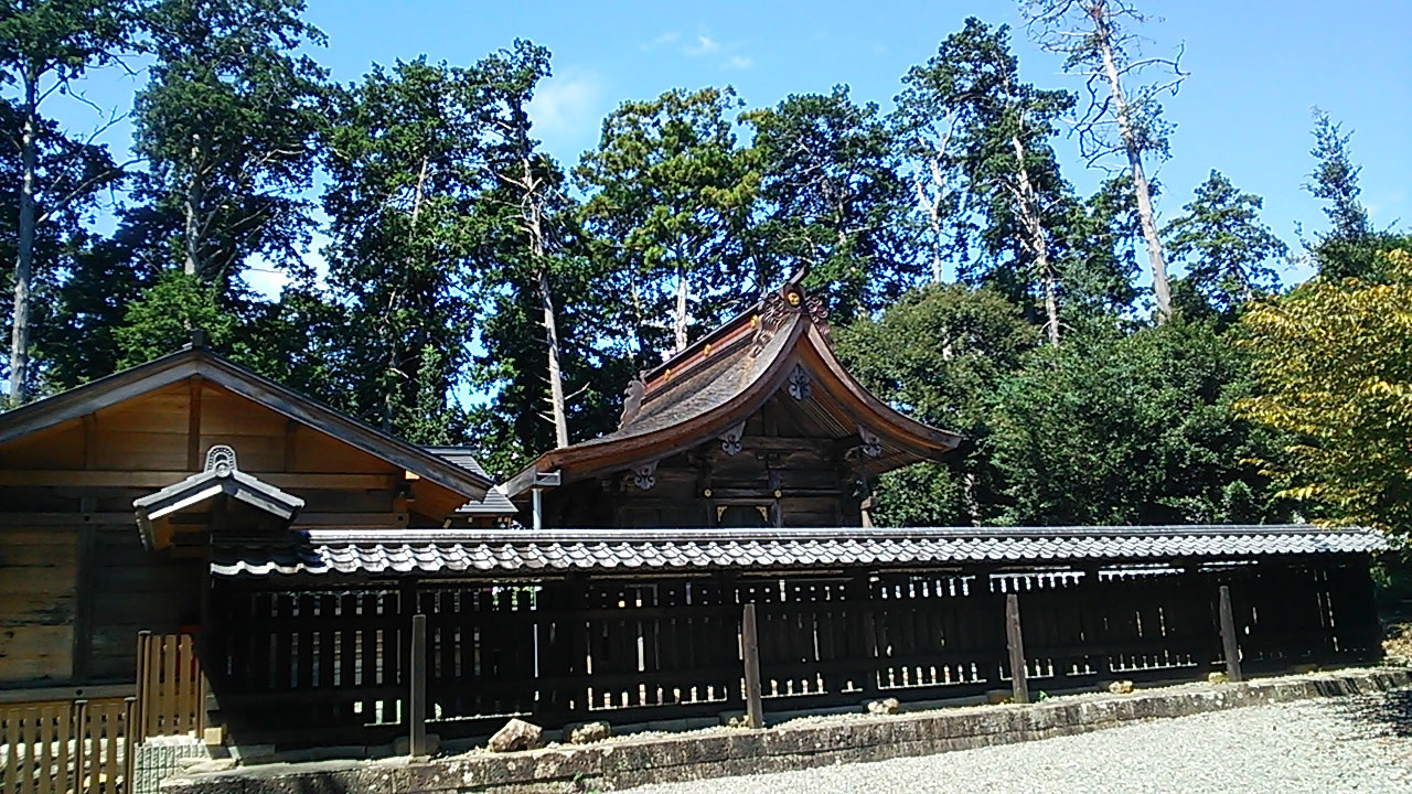 夏越大祓 茅の輪くぐり<天宮神社>