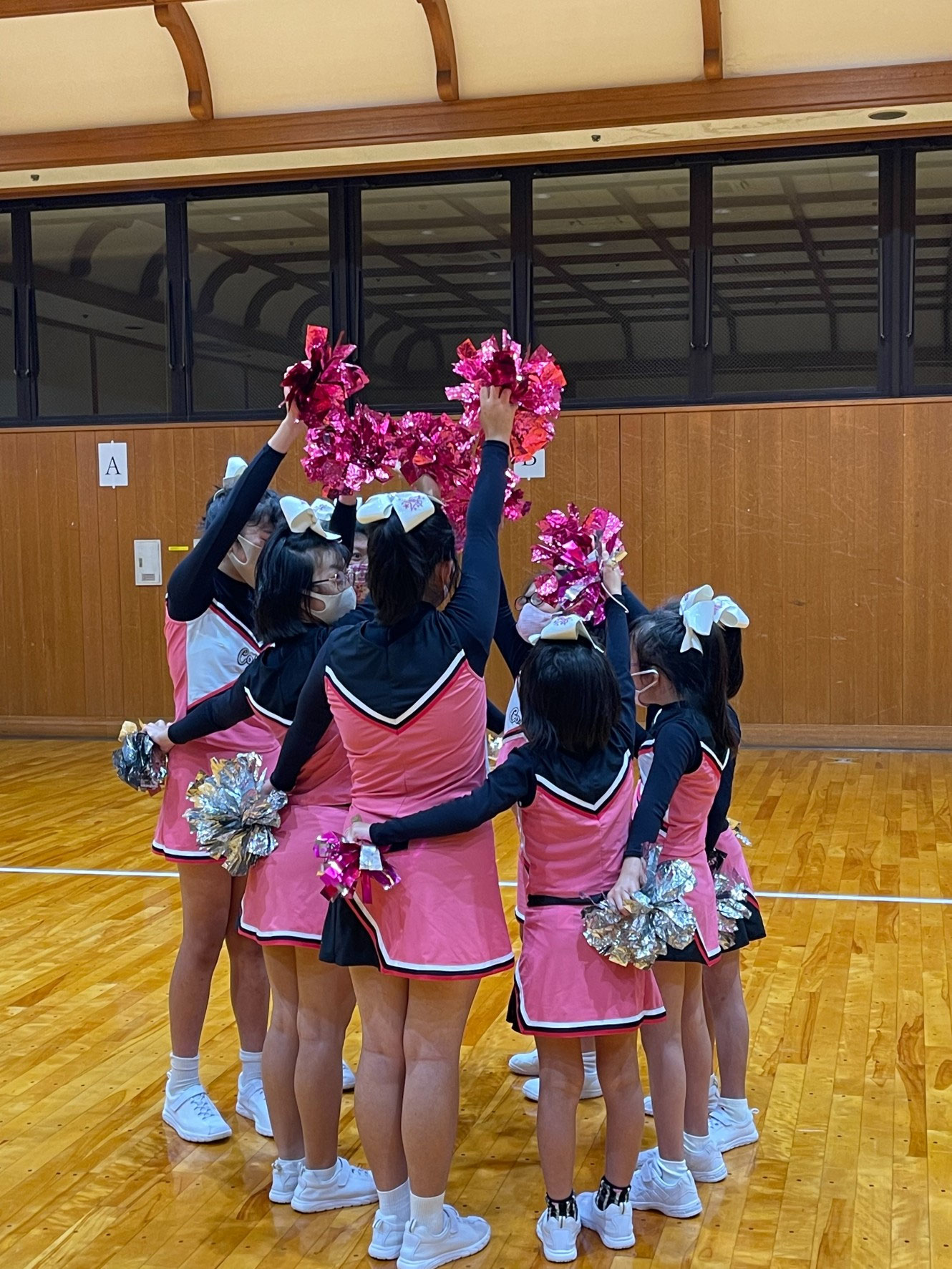 About Cheerleading - 一般社団法人日本知的障害者チアリーディング協会