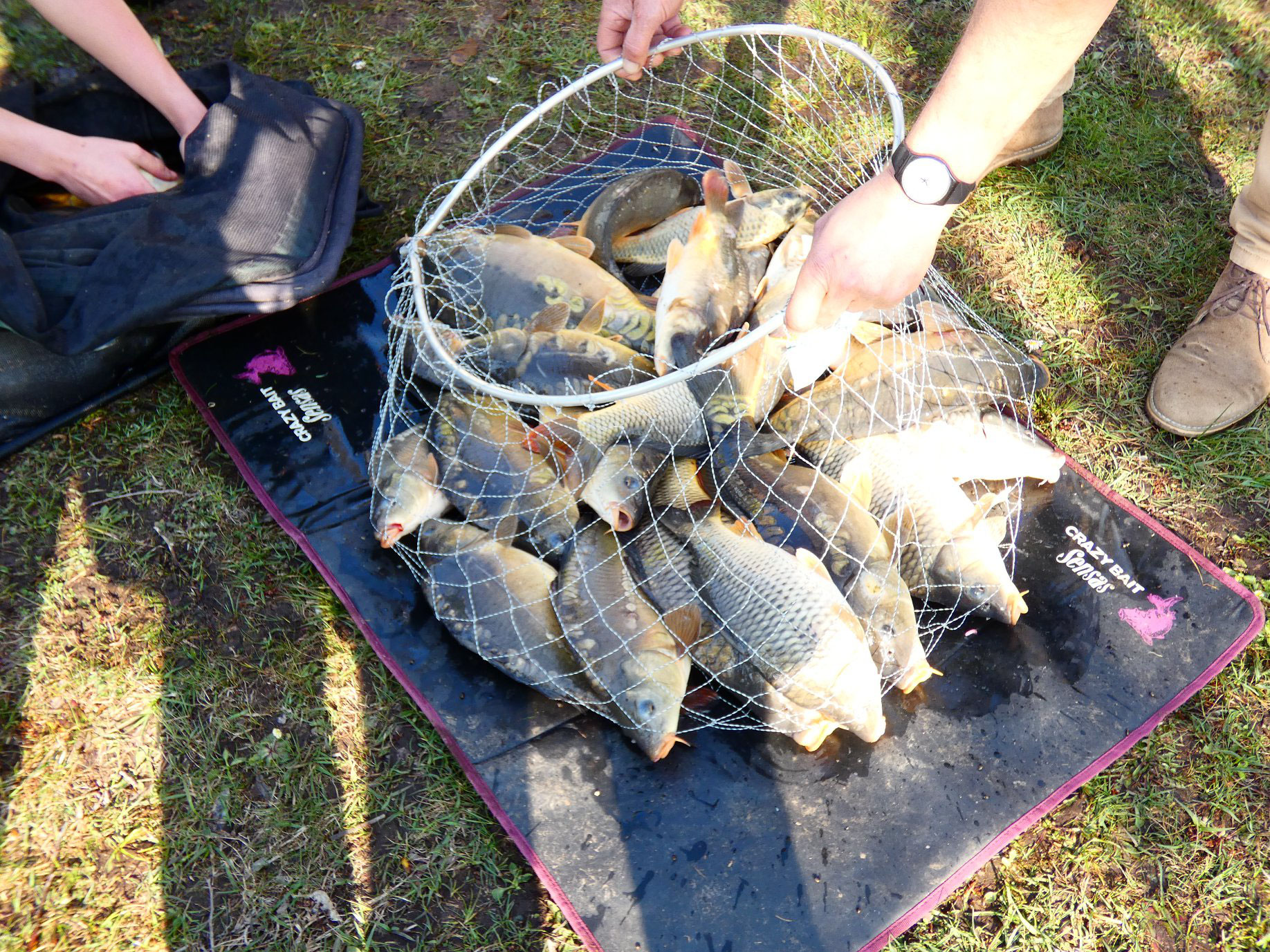 peche truite somme