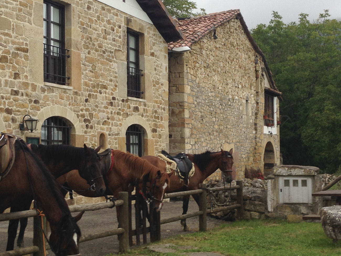 Rutas Y Paseos A Caballo Centro Hípico La Espina Cantabria