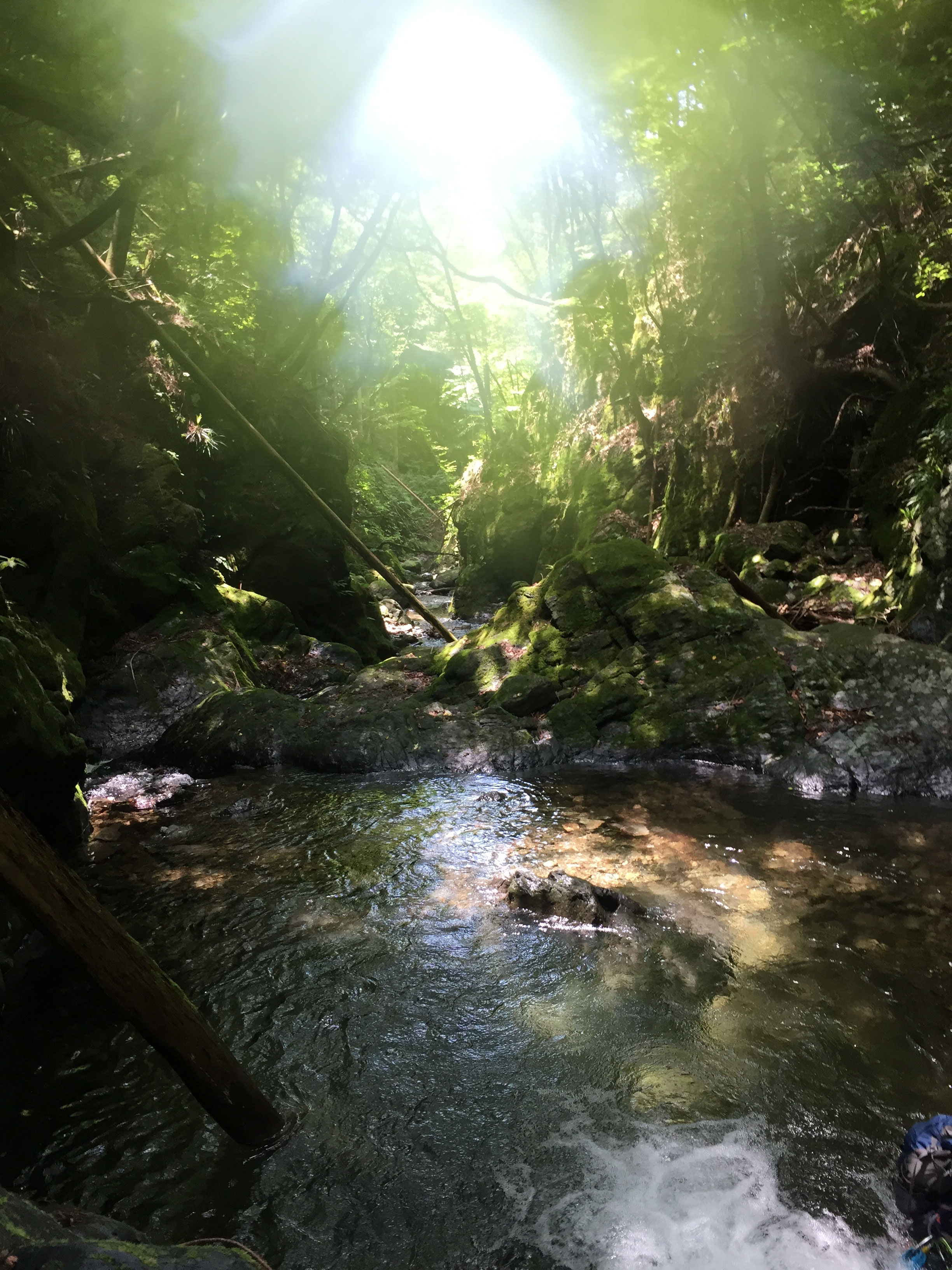 奥多摩 - 山岳ガイド 小俣智範 奥多摩 - 山岳ガイド 小俣智範