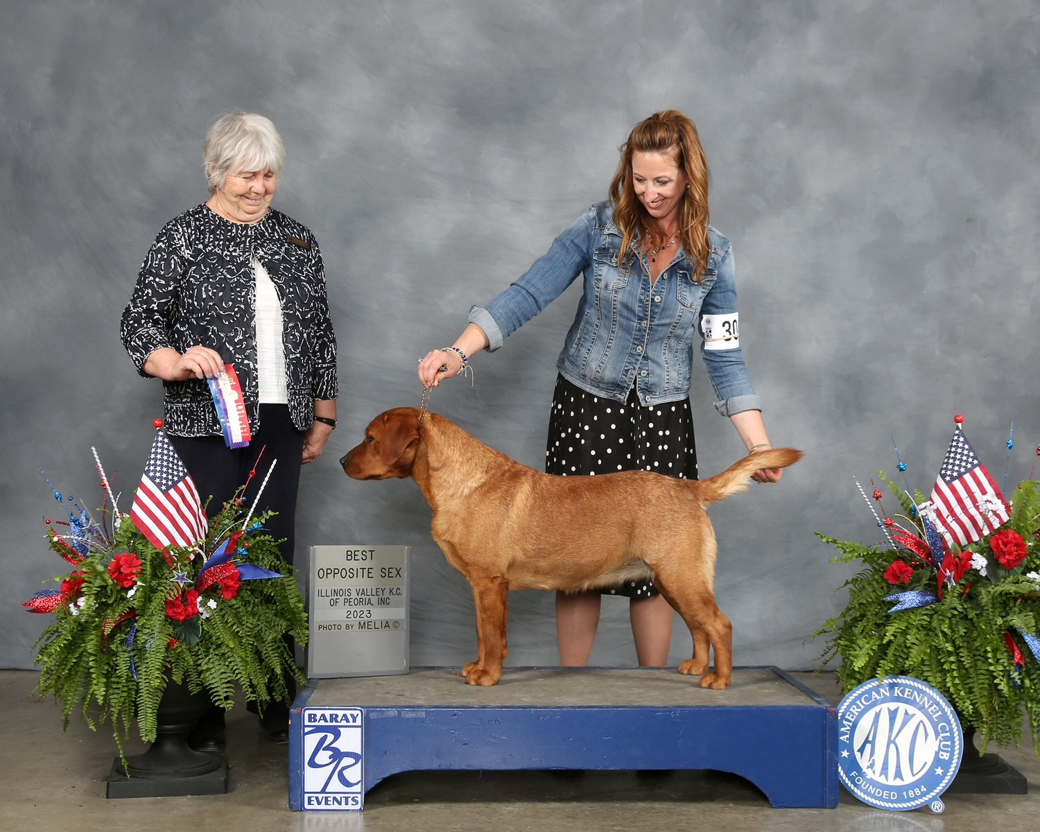 Grand CH. Iron Hill’s Royal Fortress. “Kimber” Golden & Labrador