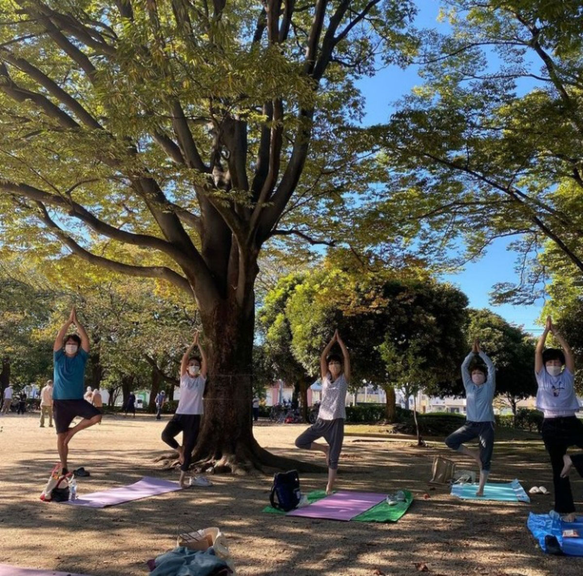 ホーム - haasa yoga ページ！