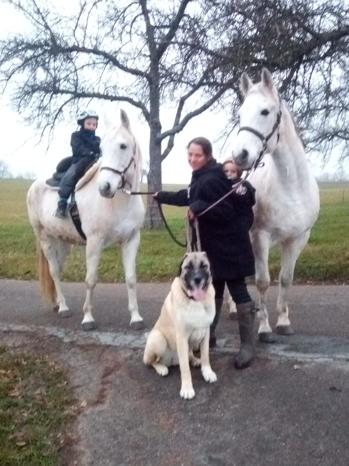 unsere tiere tierheim dreherhof