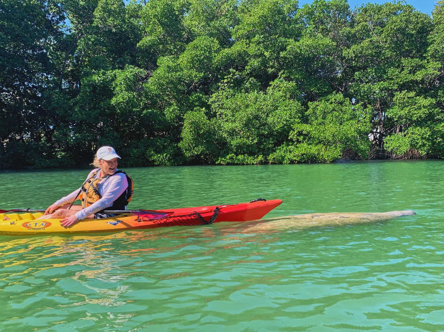 Miami Manatee Kayak and Paddleboard Photo Safari Tour ...