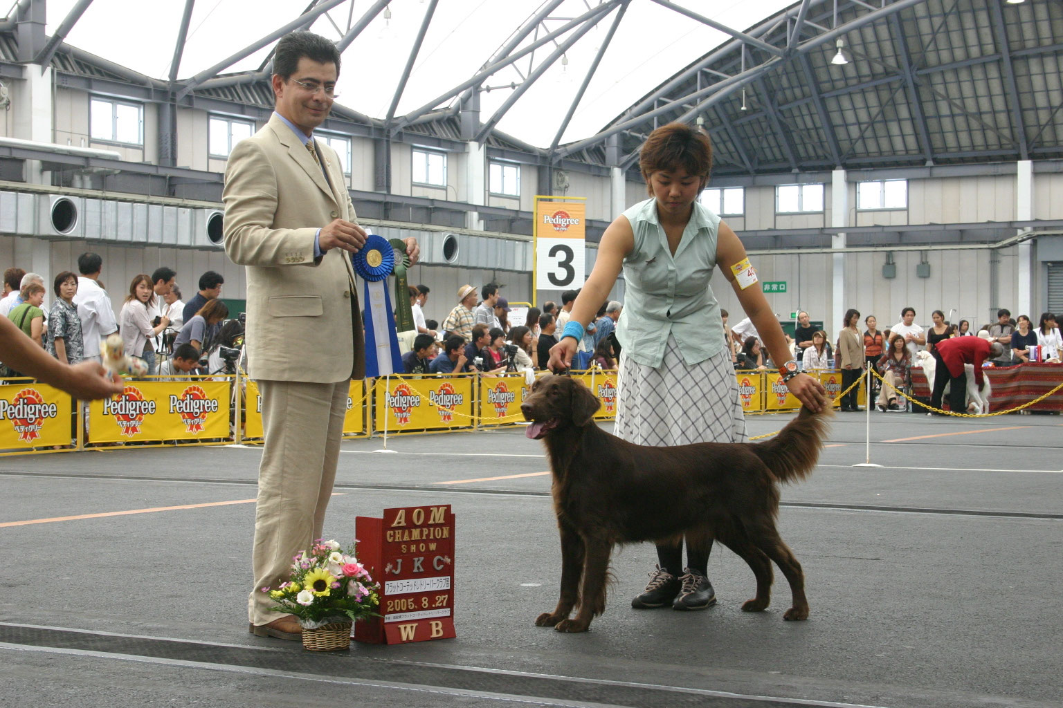 Cocoa ココア INNOCENT BELL KENNEL