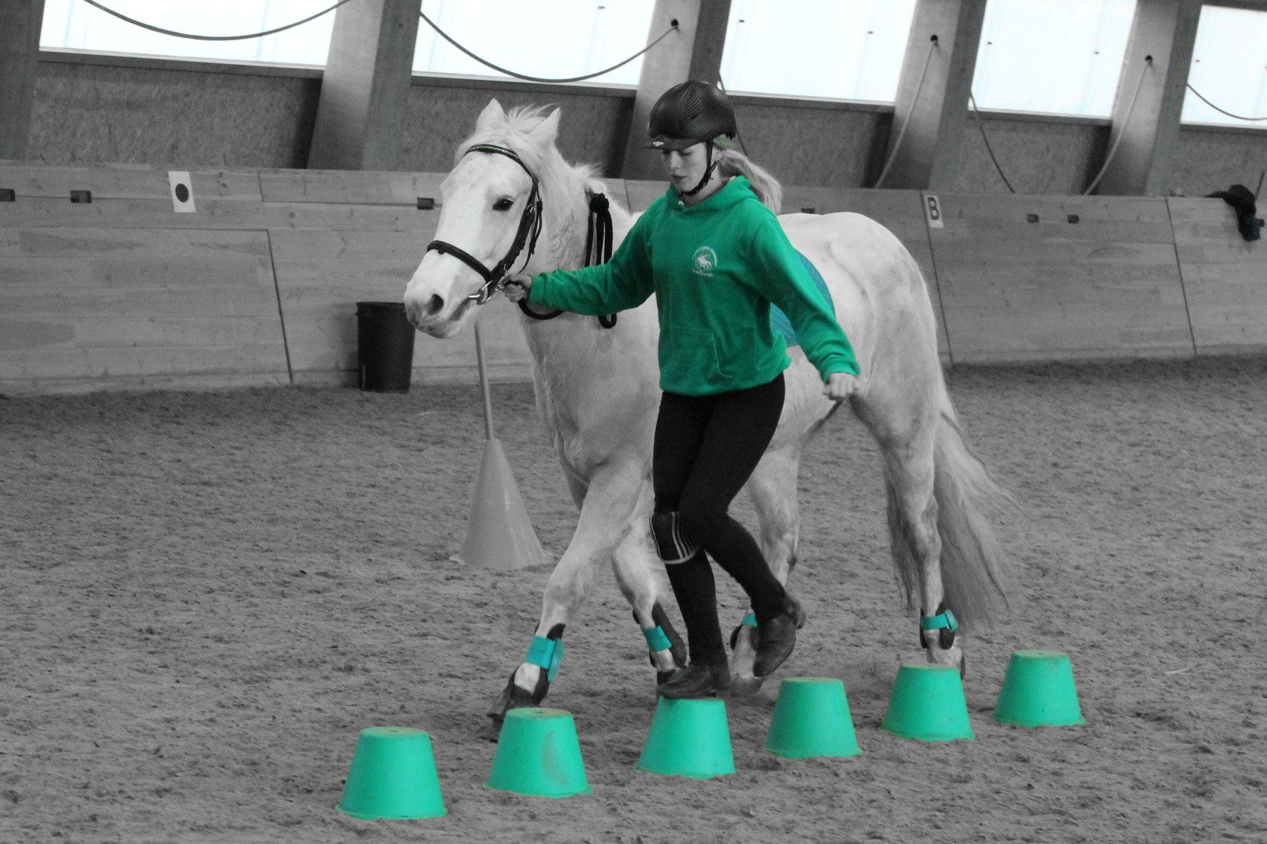 Mounted Games Equipment Ponyhof Daneder Reitunterricht, Sport, Spaß