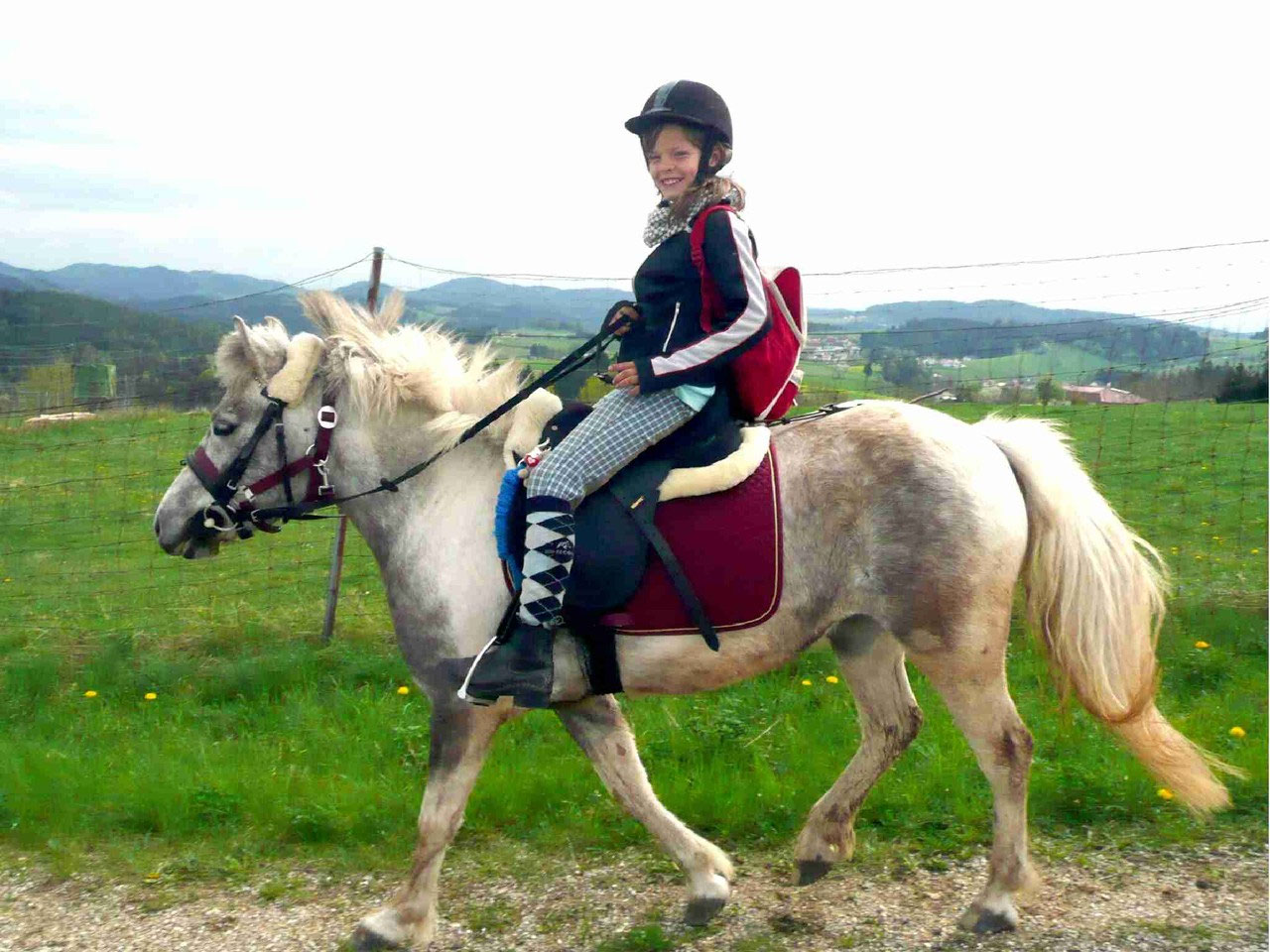 Ponytrekking - Pony reiten - Ponyhof Daneder - Reitunterricht, Sport, Spaß