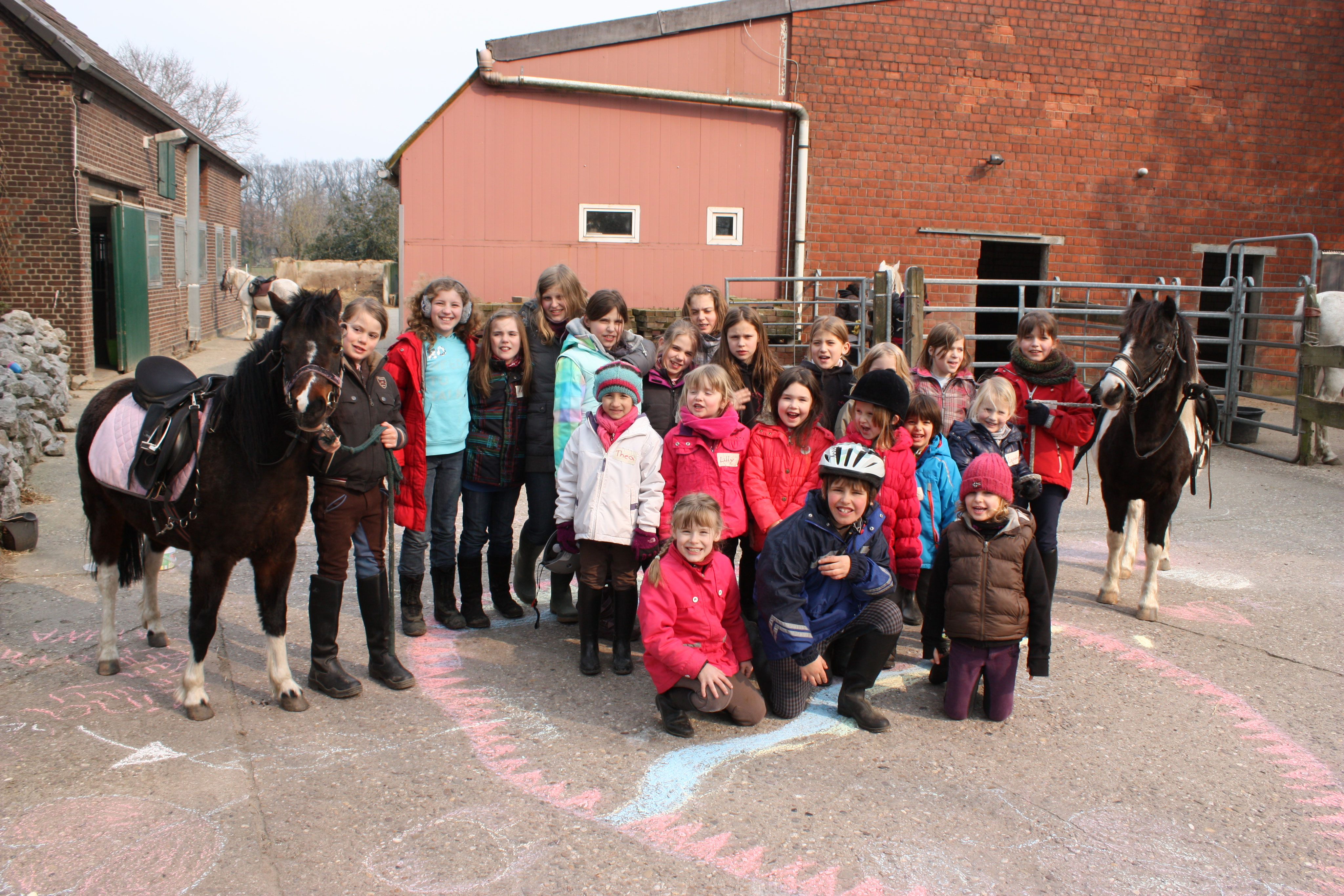 Galerie - ponyhof-tiemanns Webseite!