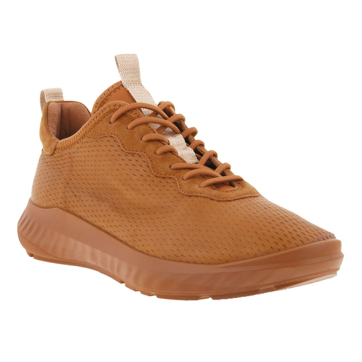 ecco ath 1