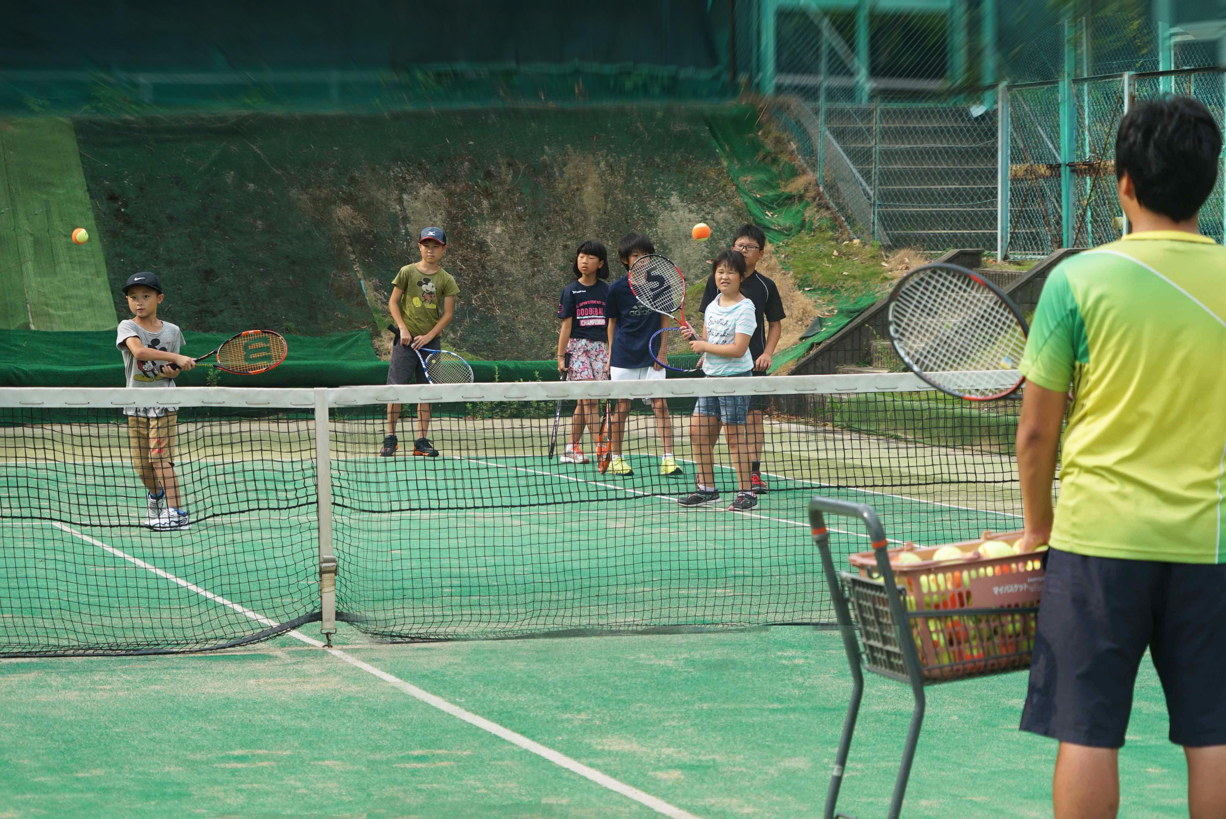 ジュニアクラスレッスン - 大阪府 堺市 美原区 さつき野 テニス