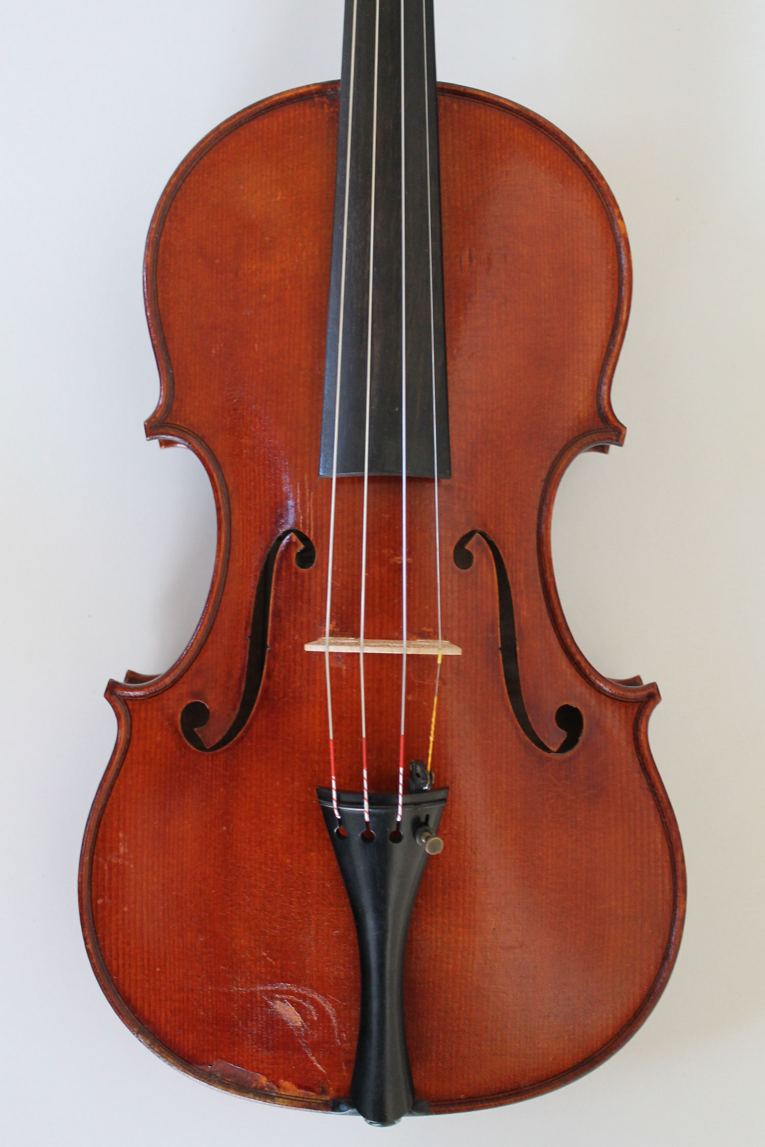 Violine violins and more fine stringed instruments