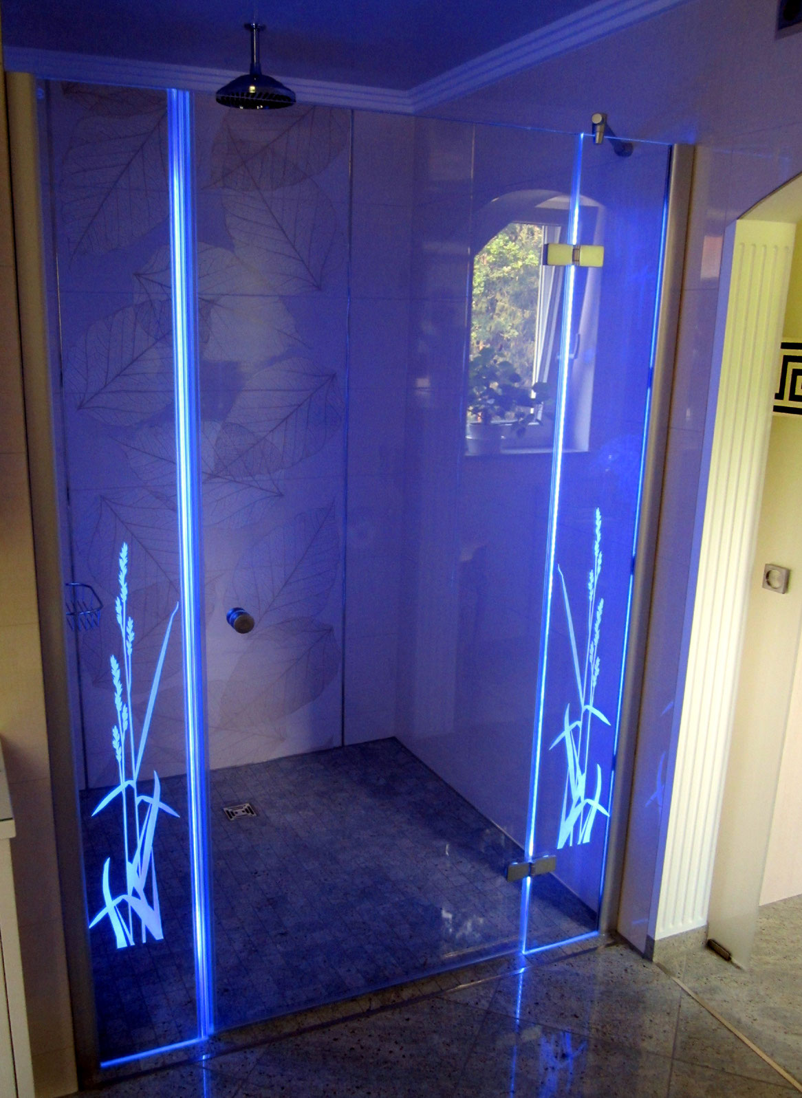 Glasdusche mit Lasermotiv - Shop für Duschdichtungen, Duschprofile