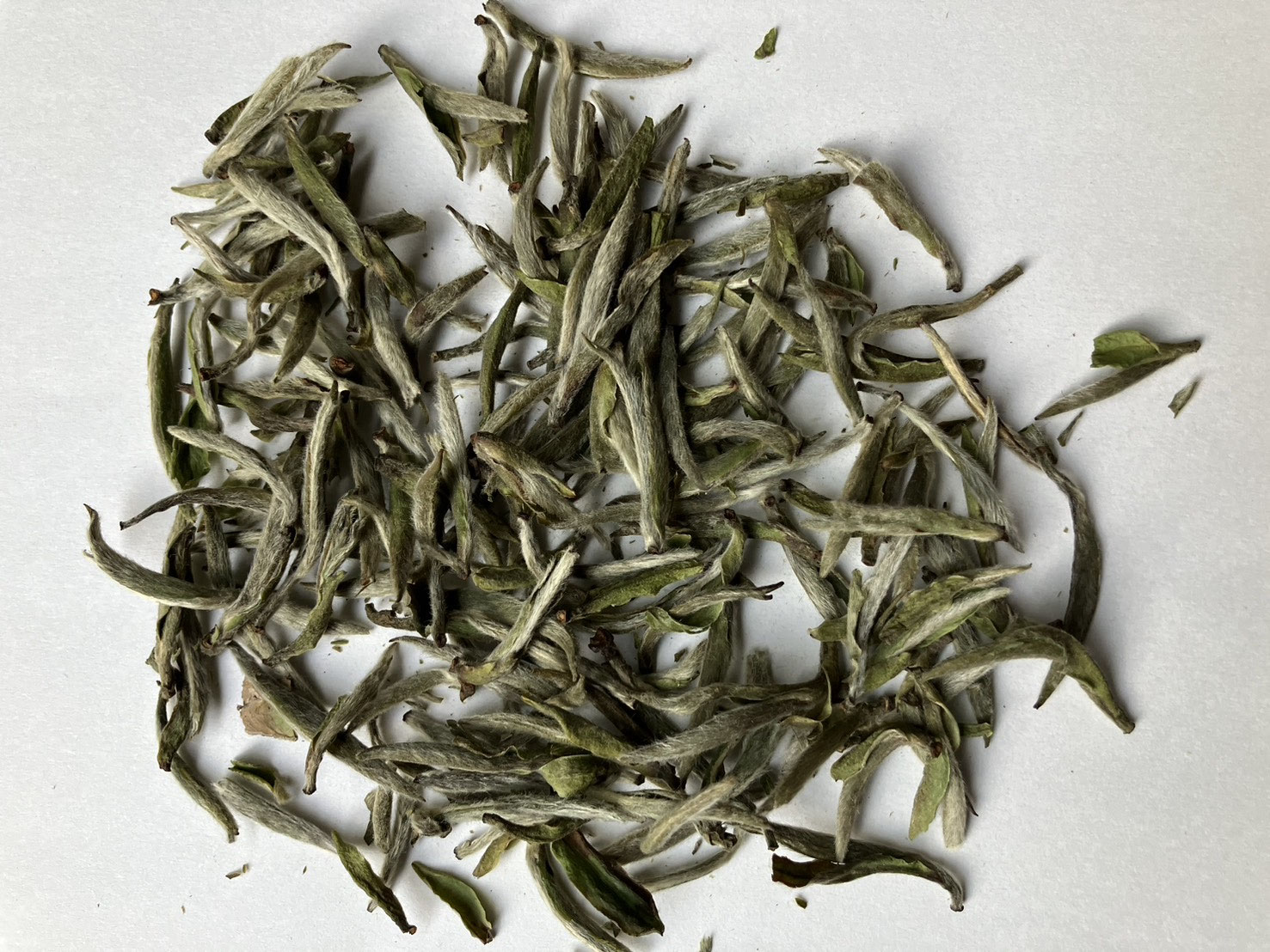 白茶 白毫銀針 銀針 2017 AAA Amazon.co.jp: 白茶 白毫銀針30g はくごうぎんしん シルバー