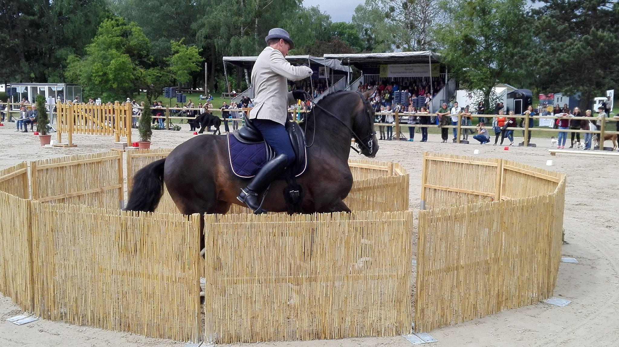 Pferch wie hier aus z.B. Schilfrohrmatten 1m hoch. Trail, Working