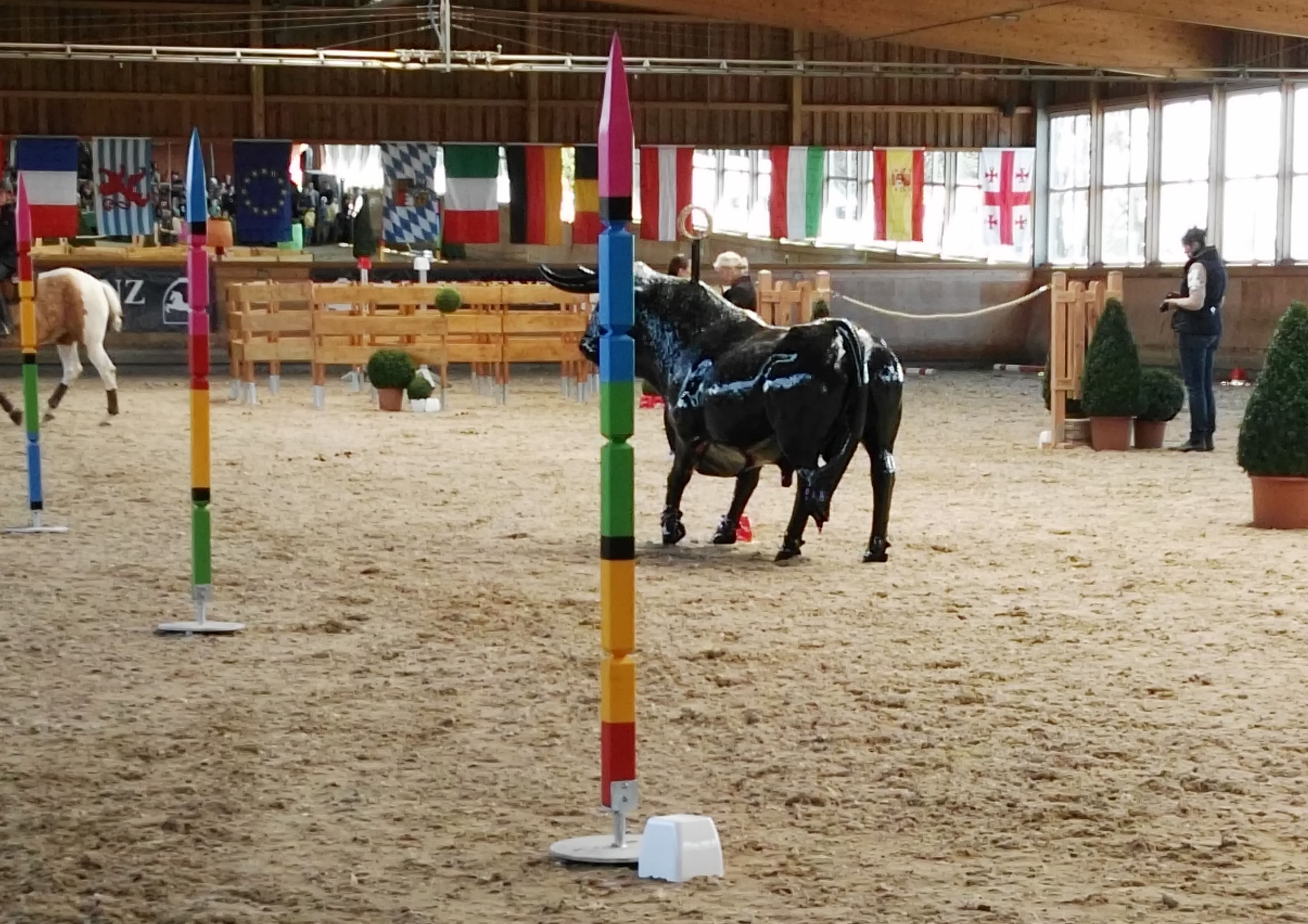 Hier unser WM Parcours 2018 Trail, WorkingEquitationEquipment