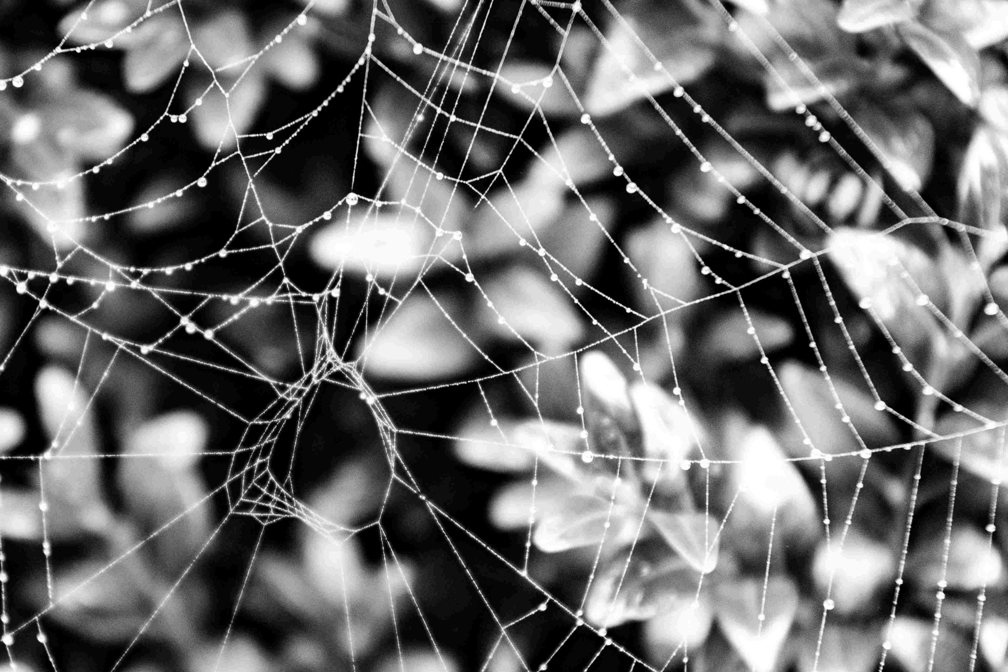 Muster, Formen und Strukturen 2017 - fotokunstag-luedinghausens Webseite!