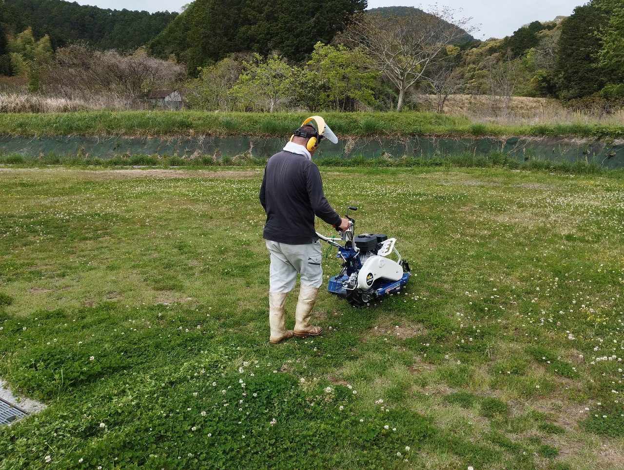 みもざ
