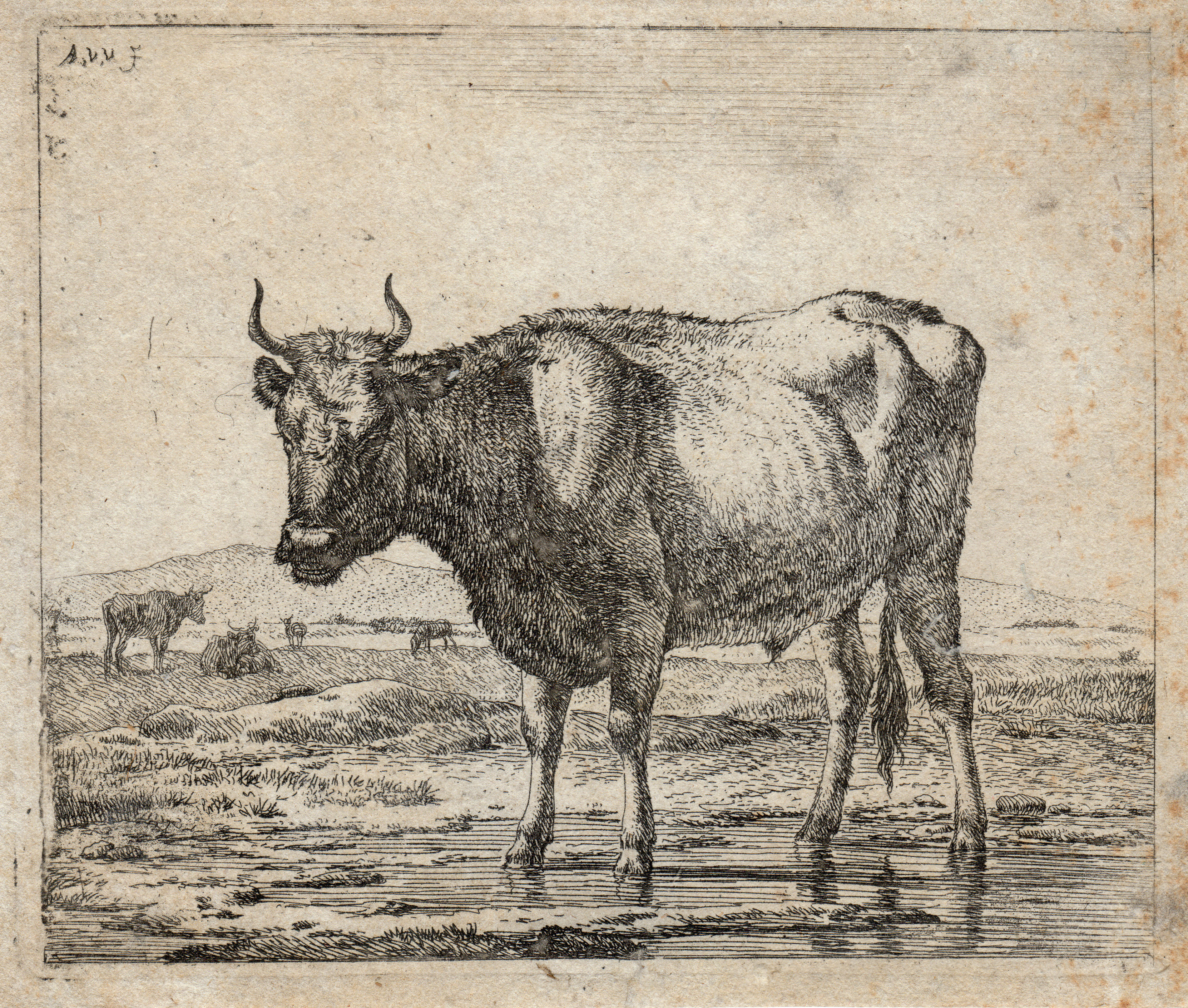 Adriaen Van De Velde Kolibri Kunst Kabinett