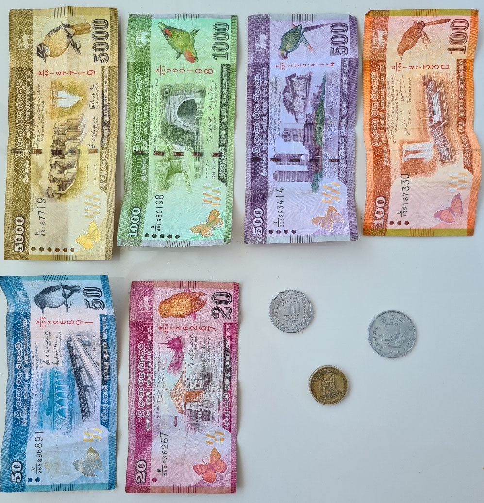 Facts about Sri Lanka flyinghopperschs seite!