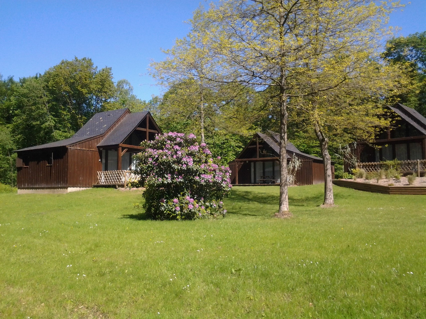 DOMAINE DU BOIS DU TAY