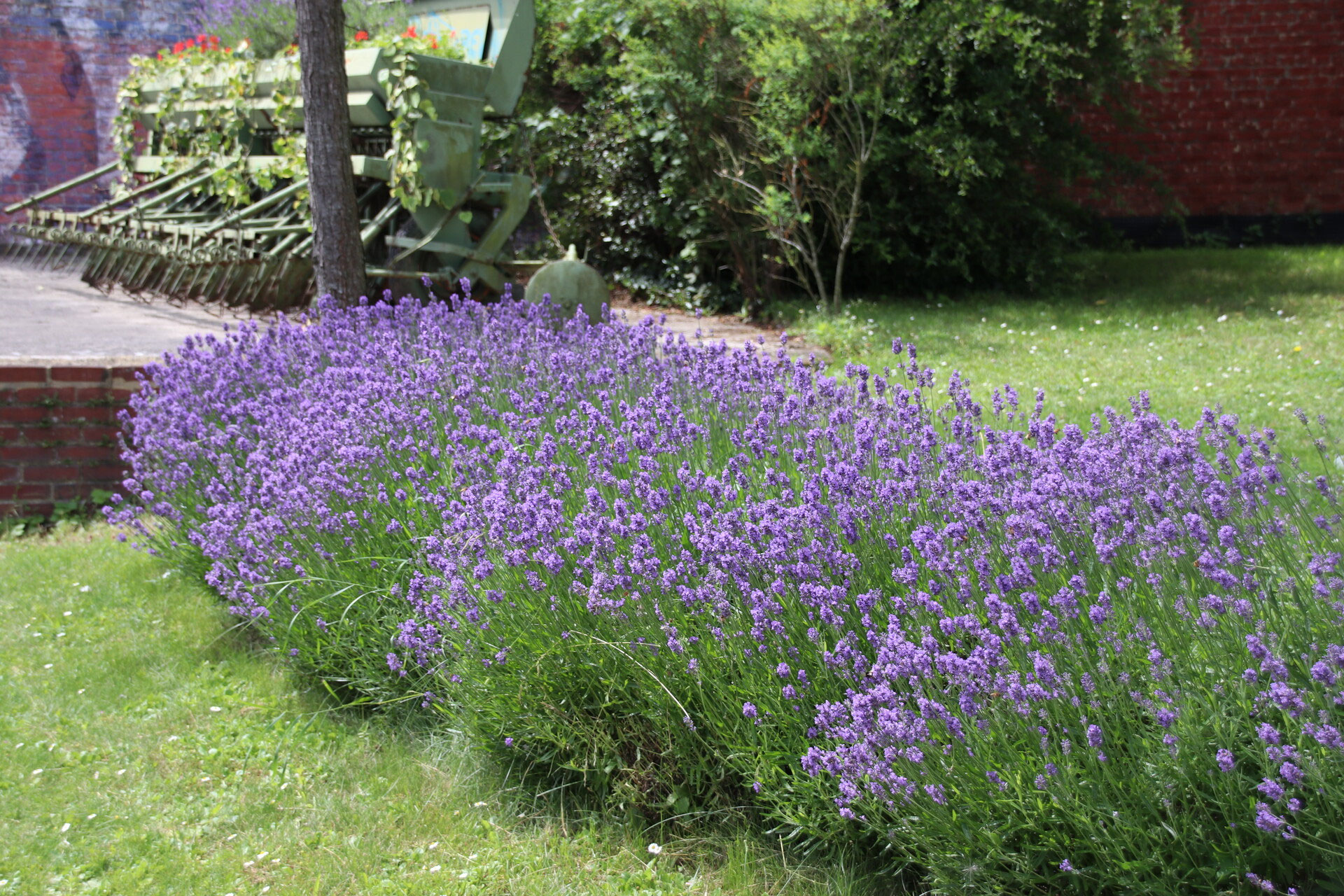 Courcelles ville fleurie Wallonie en Fleurs