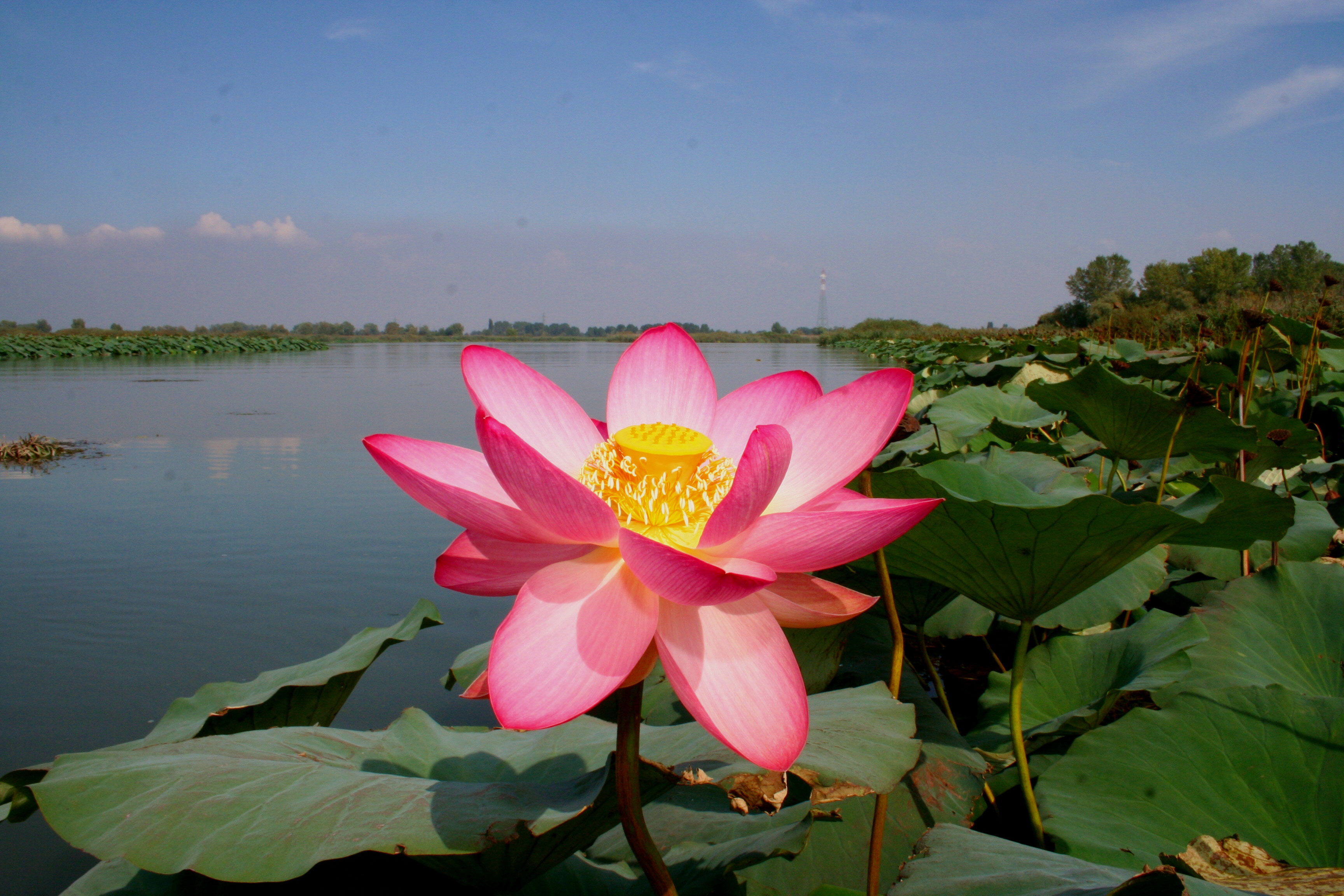 Der Lago di Superiore in Montua. Welsangeln mit Welsguide Peter