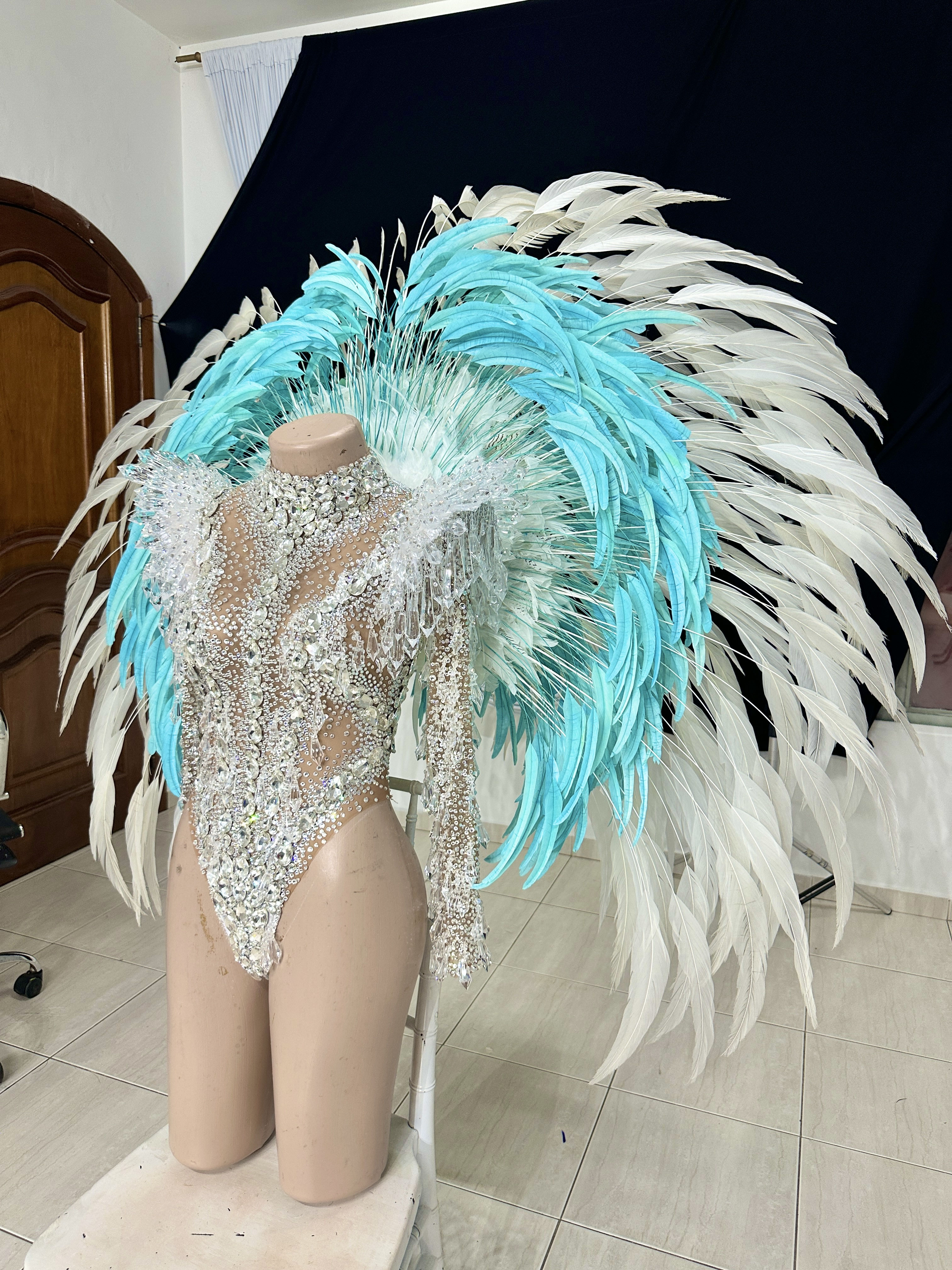 サンバ衣装、羽！！！ 羽根の衣装・サンバ衣装 - VDS FANTASIA