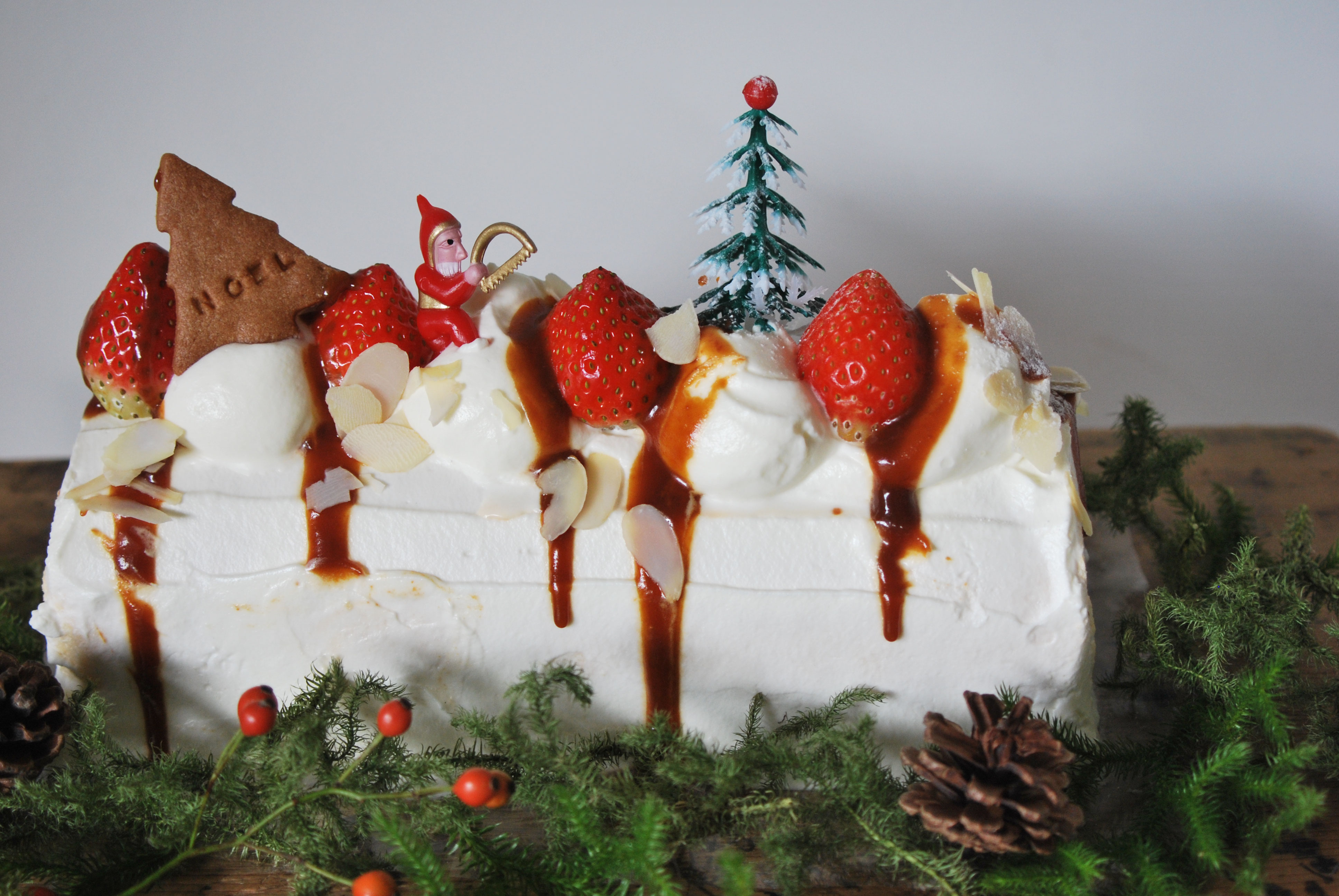 カフェシバケン クリスマスケーキのご予約はじまります 野の花屋 Cafe Shibaken まめしばコーヒー Official Website