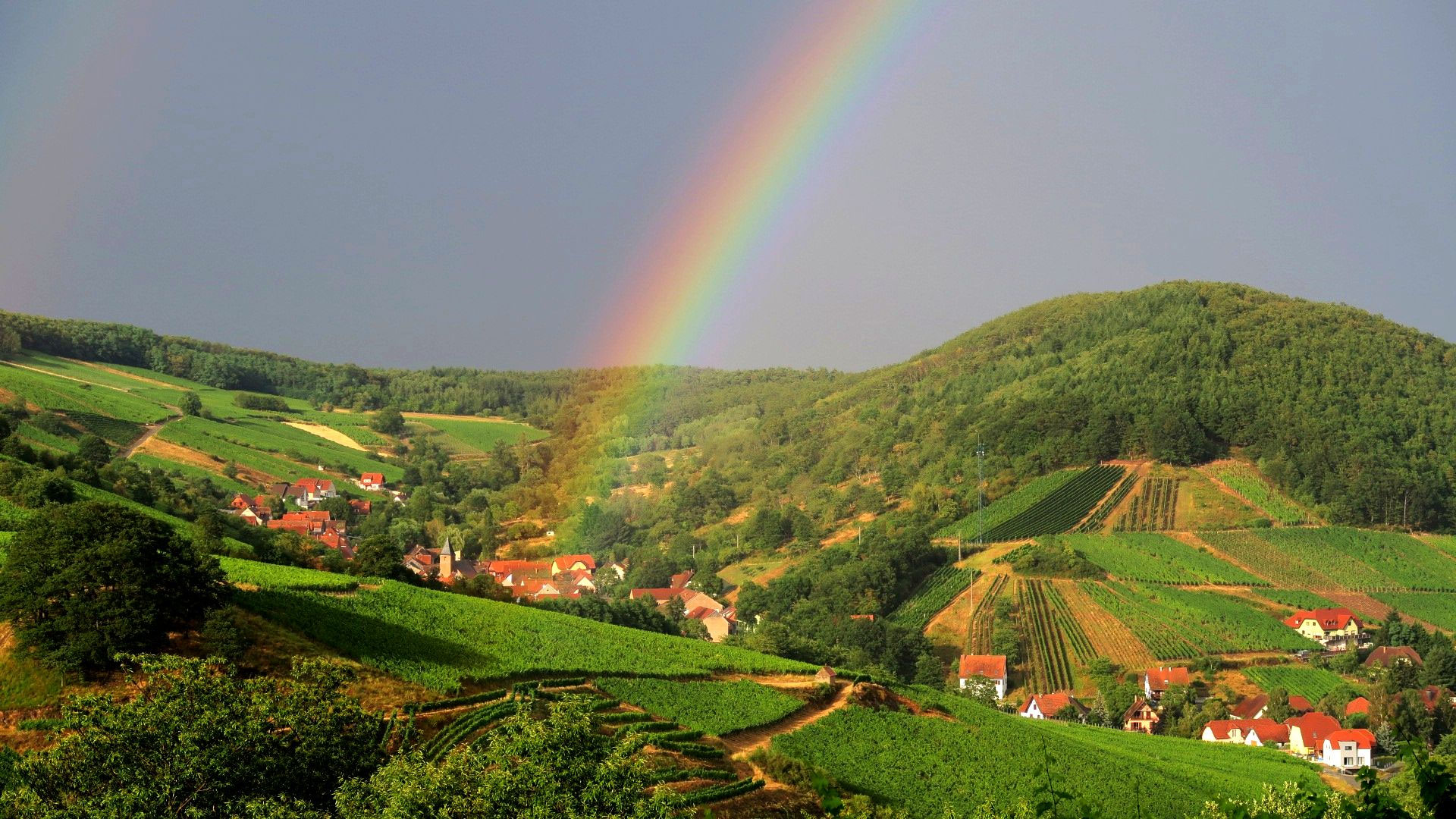 Courses de l'Ungersberg U3T