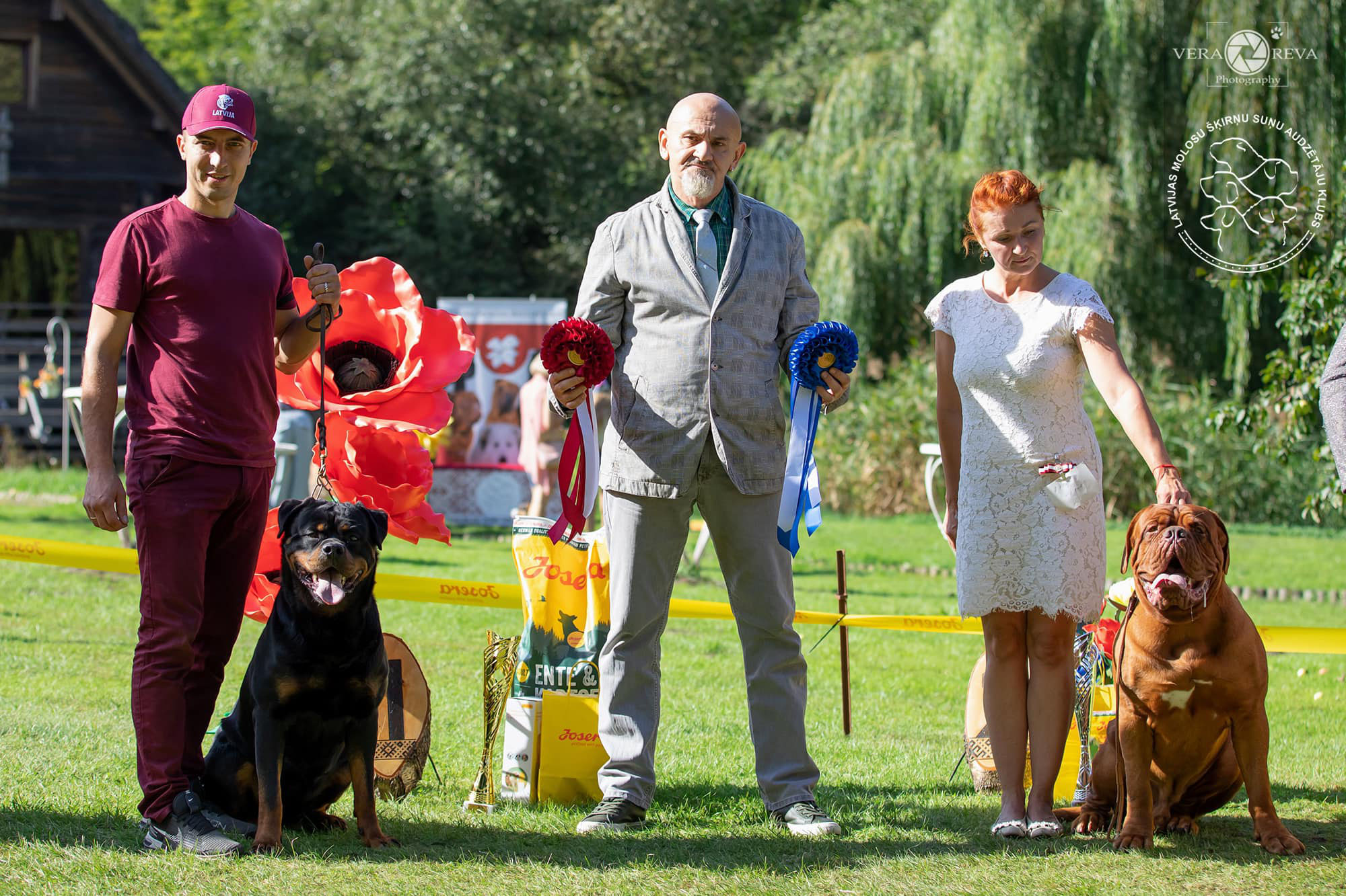 DRAGON HEART SUNY DAY'S - Rottweiler kennel 