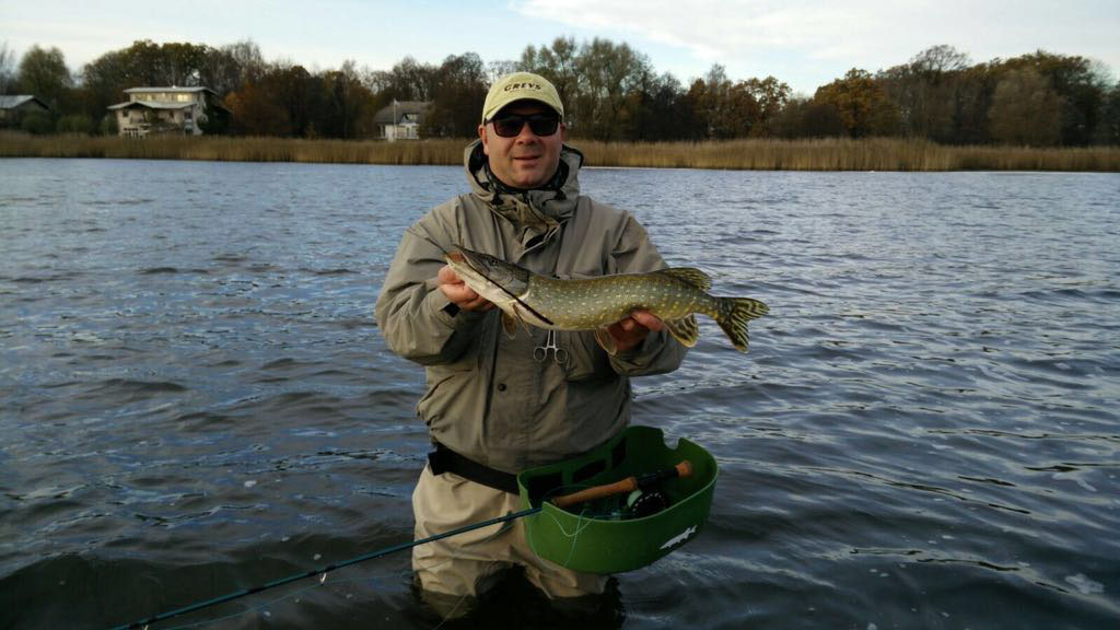 Asv Gifhorn Asv Gifhorn